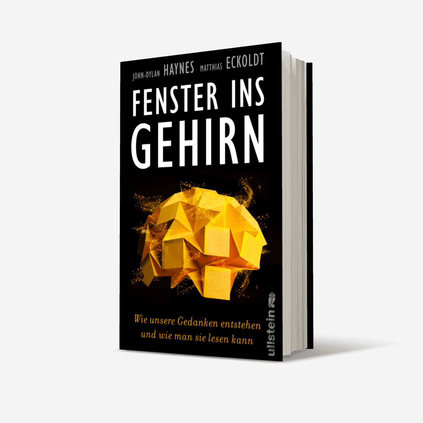 Buchcover von Fenster ins Gehirn