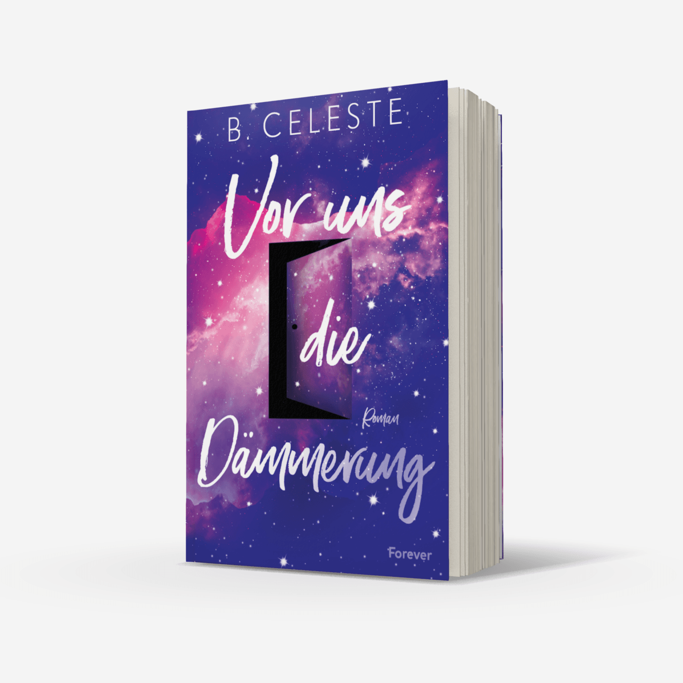 Buchcover von Vor uns die Dämmerung