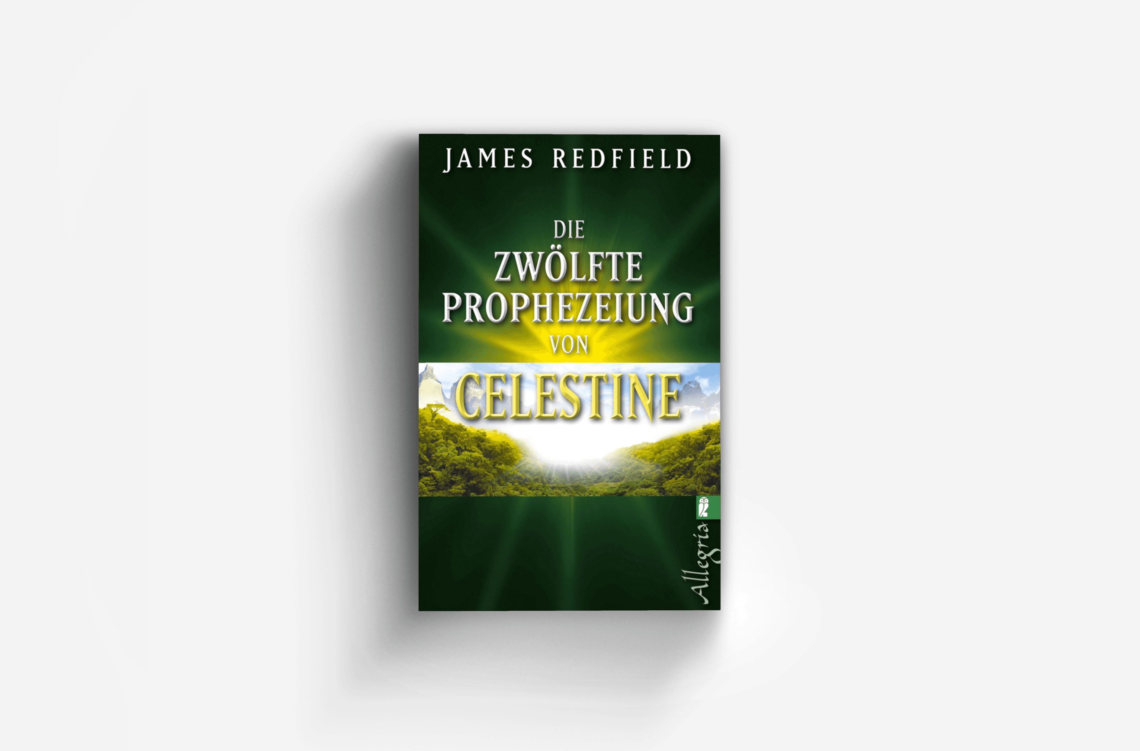 Buchcover von Die zwölfte Prophezeiung von Celestine (Die Prophezeiungen von Celestine 4)