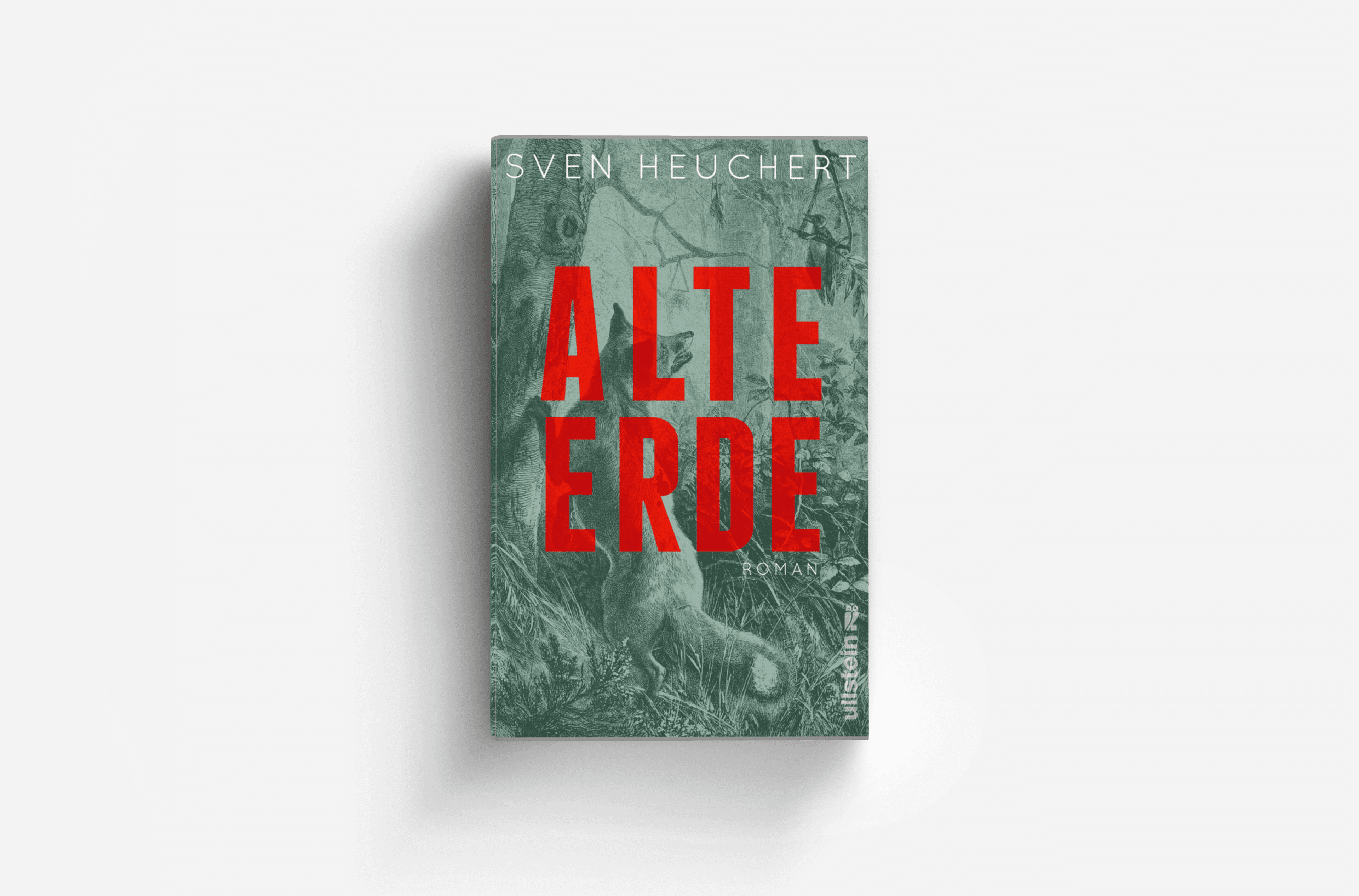 Buchcover von Alte Erde