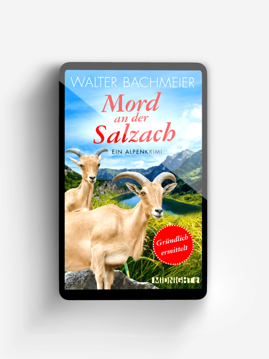 Mord an der Salzach (Ein-Tina-Gründlich-Krimi 2)