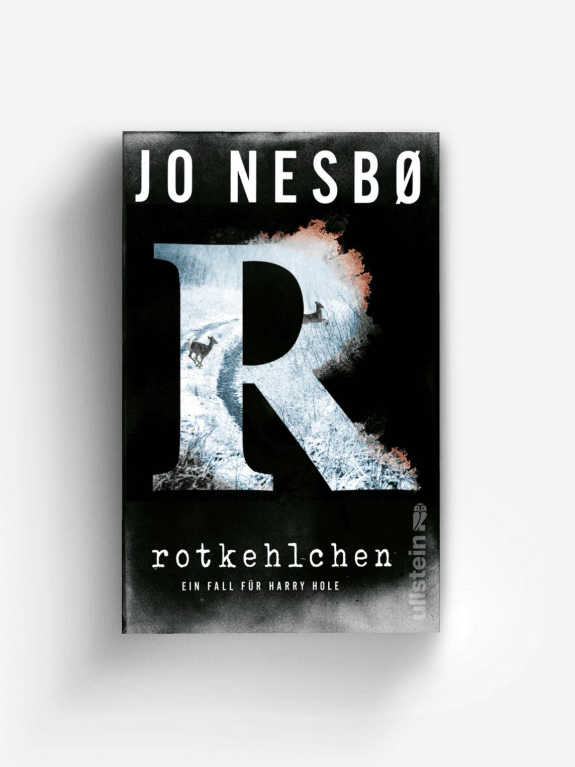 Rotkehlchen (Ein Harry-Hole-Krimi 3)