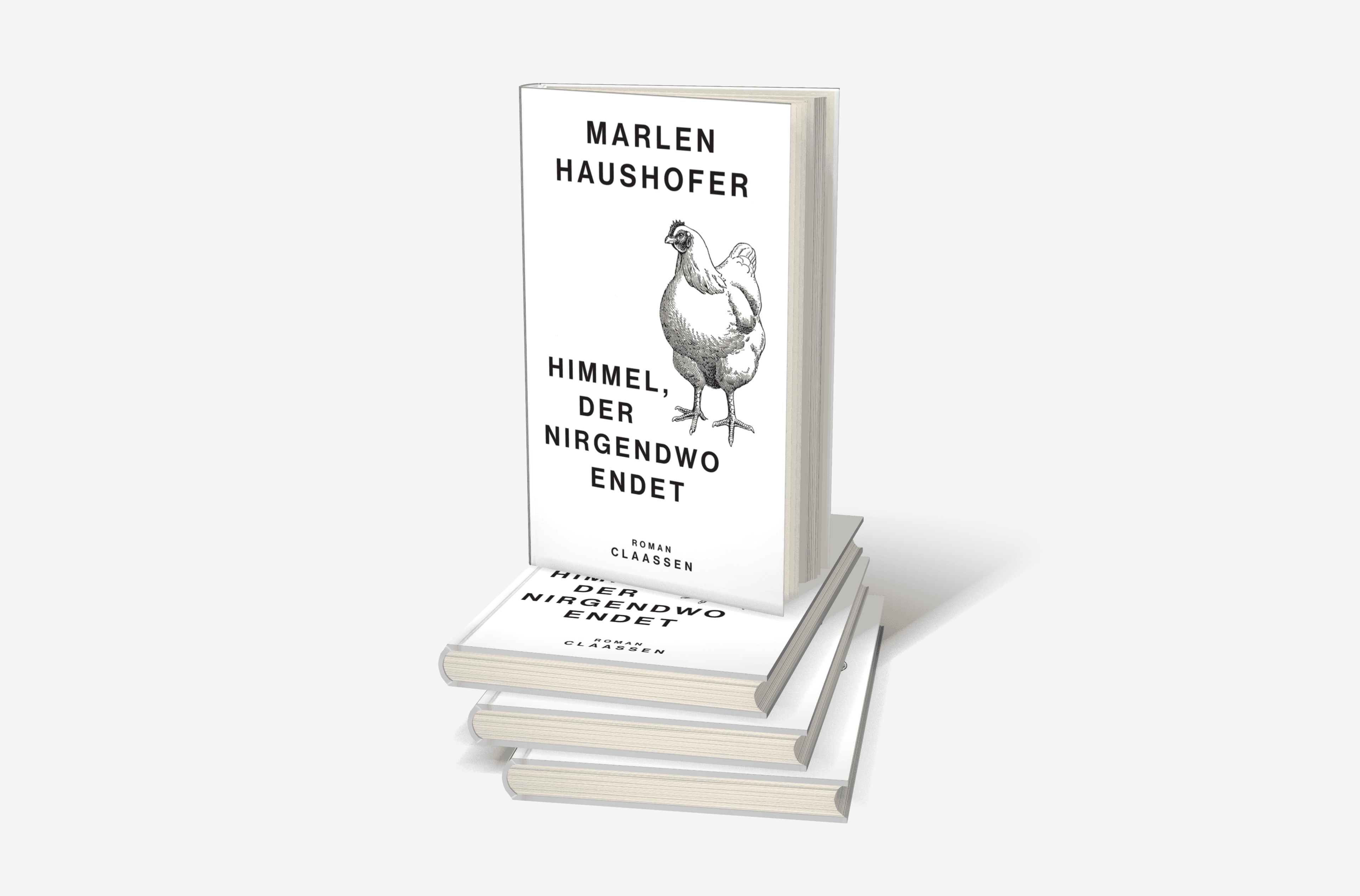 Buchcover von Himmel, der nirgendwo endet (Marlen Haushofer: Die gesammelten Romane und Erzählungen 4)