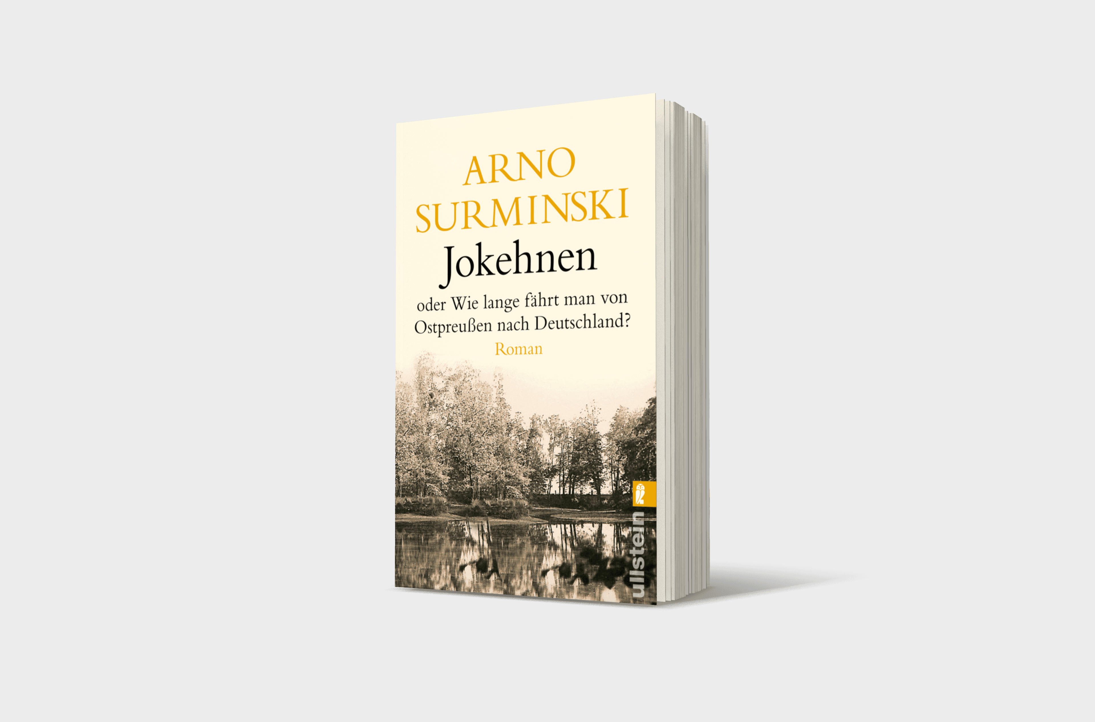 Buchcover von Jokehnen