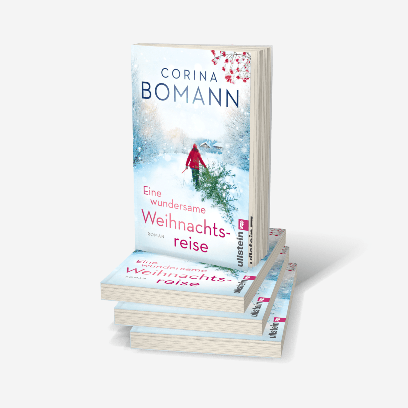 Buchcover von Eine wundersame Weihnachtsreise