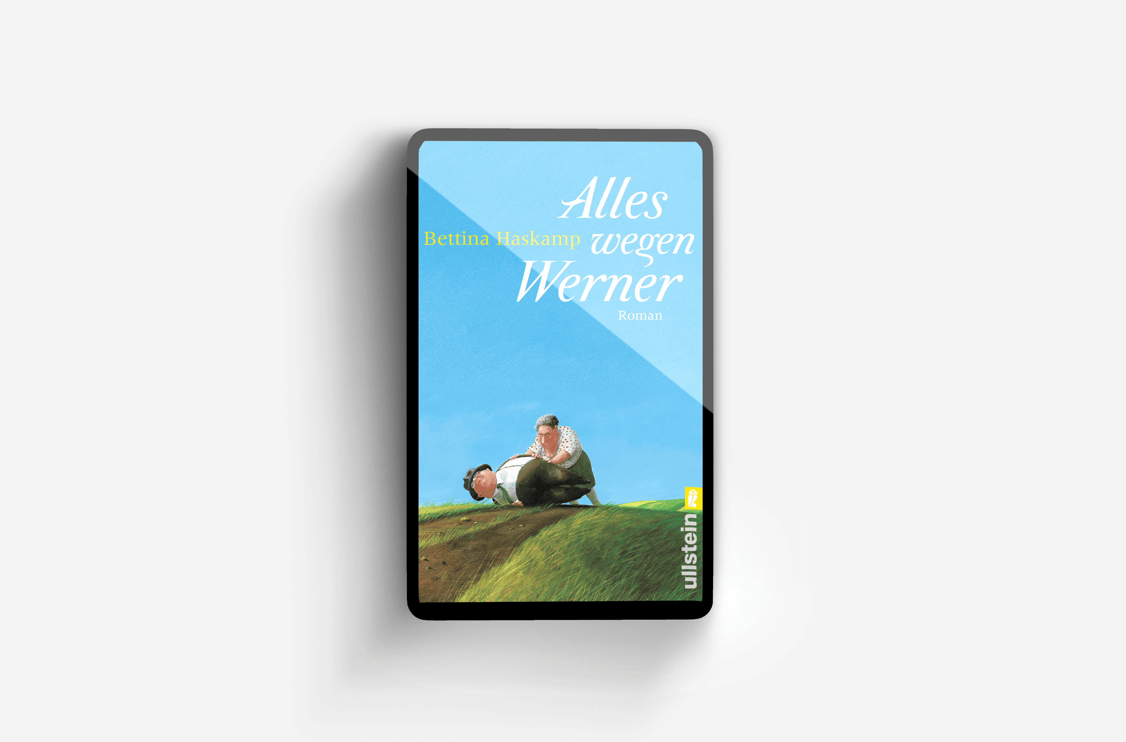 Buchcover von Alles wegen Werner