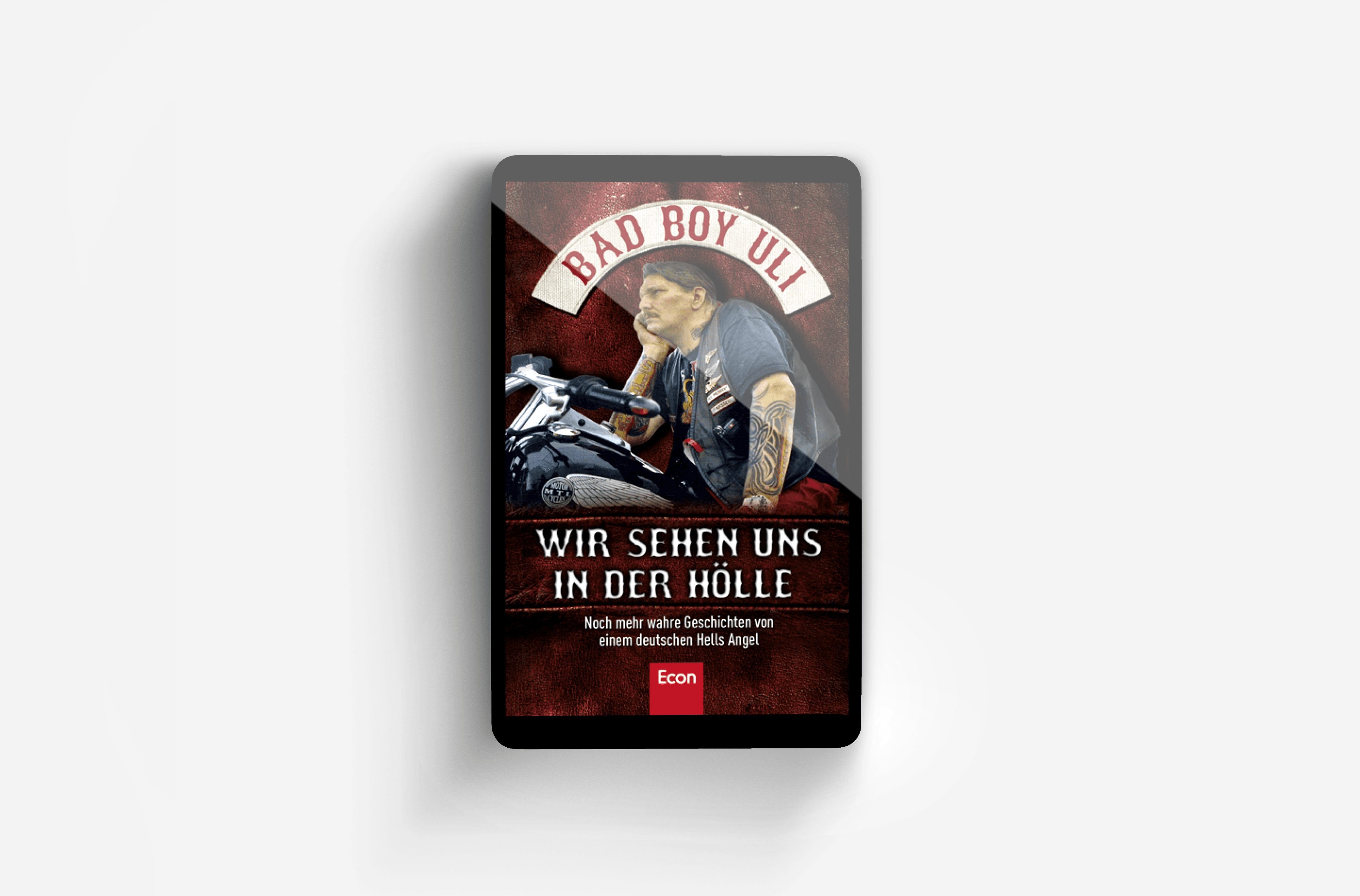 Buchcover von Wir sehen uns in der Hölle