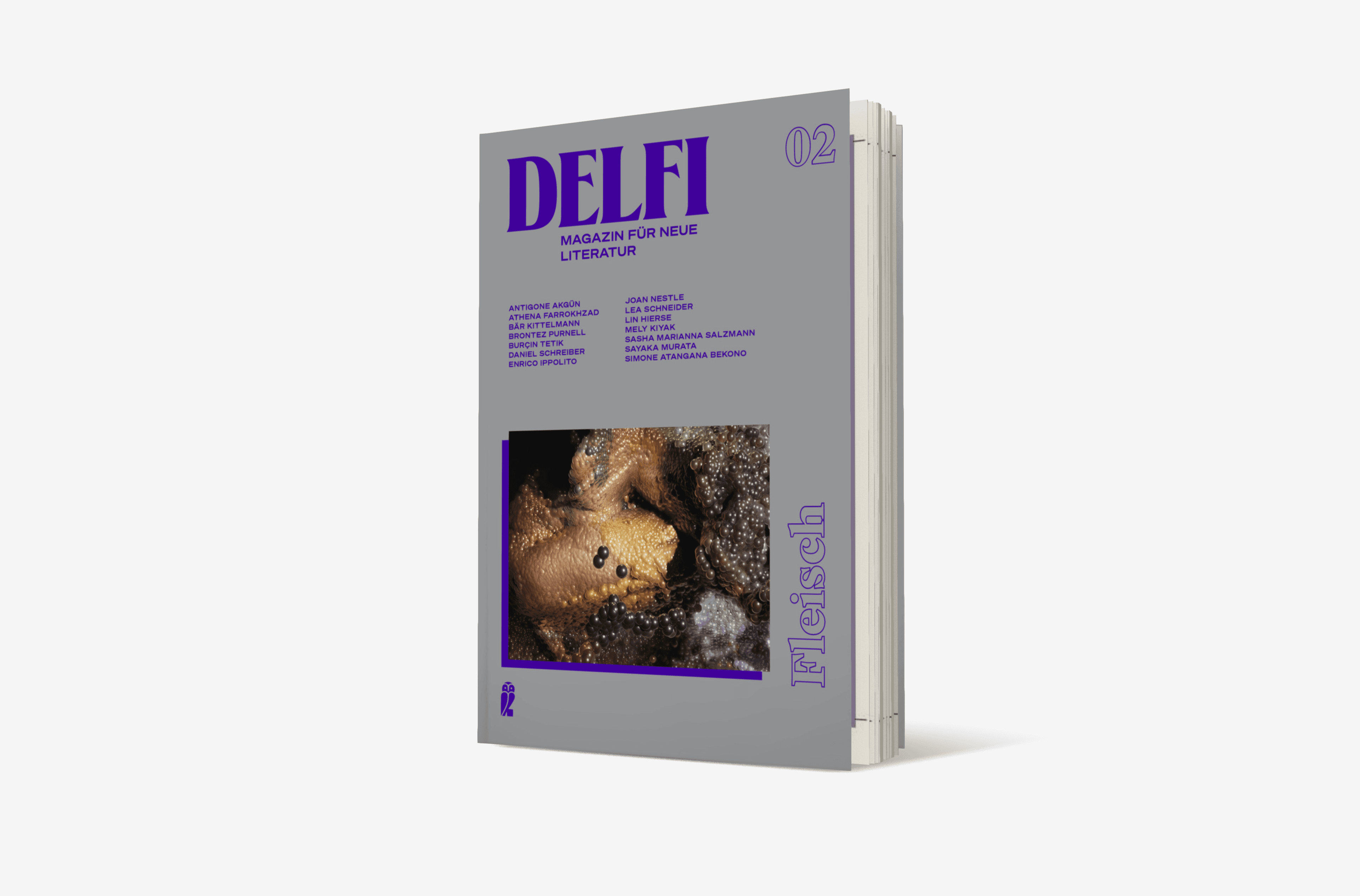 Buchcover von Delfi Fleisch (Delfi 2)