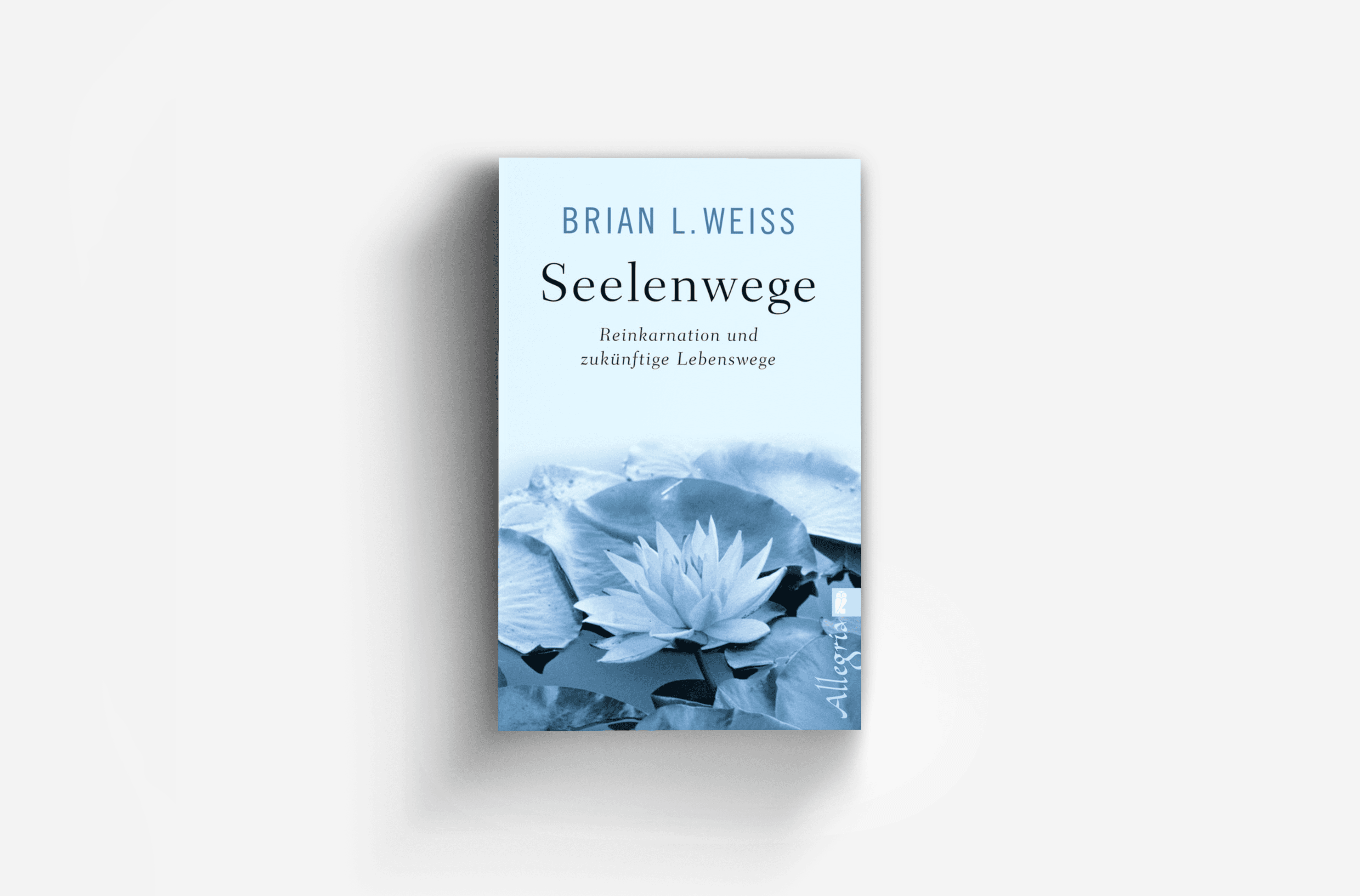 Buchcover von Seelenwege