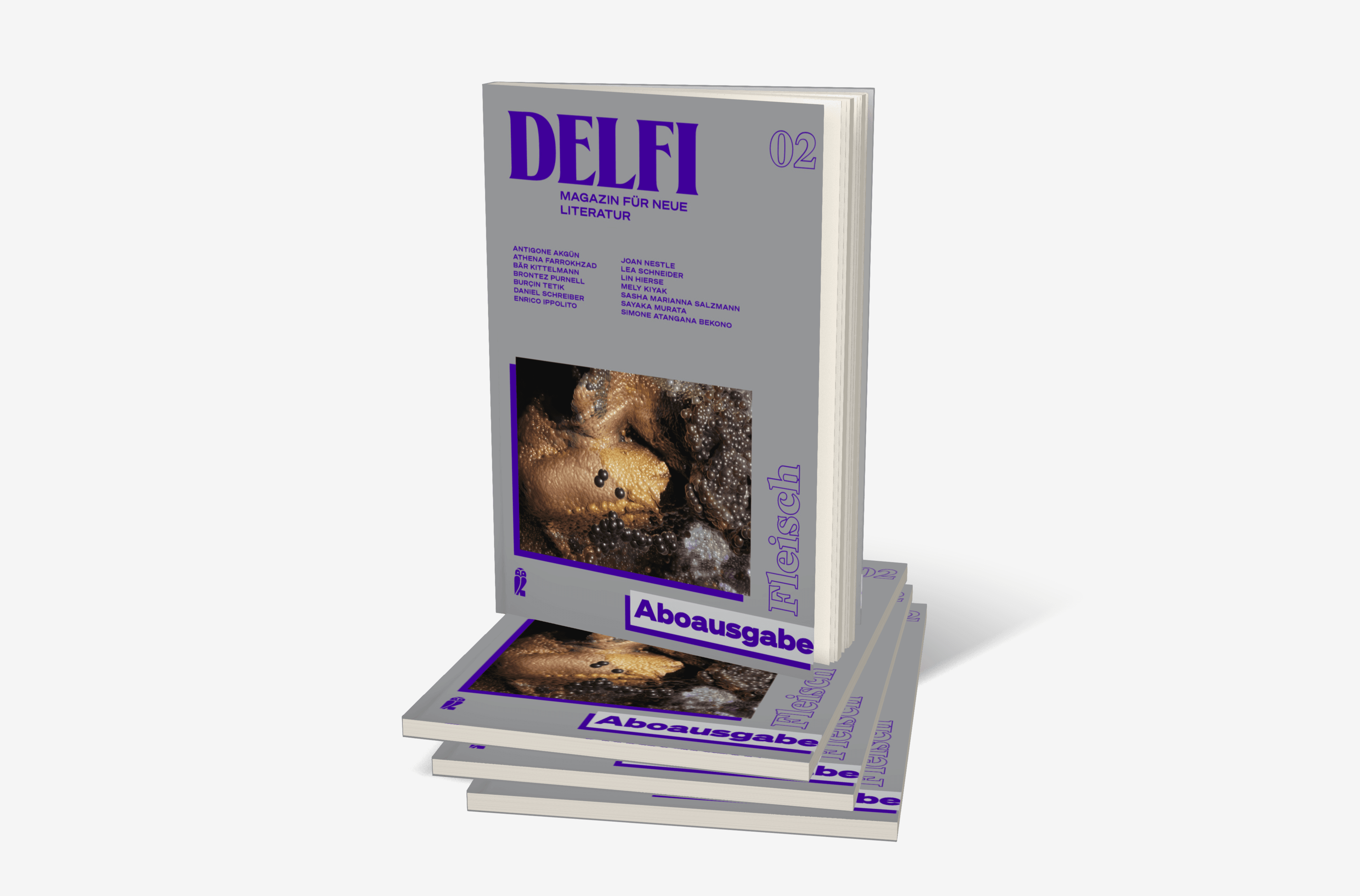 Buchcover von Delfi Fleisch - Aboausgabe (Delfi 2)