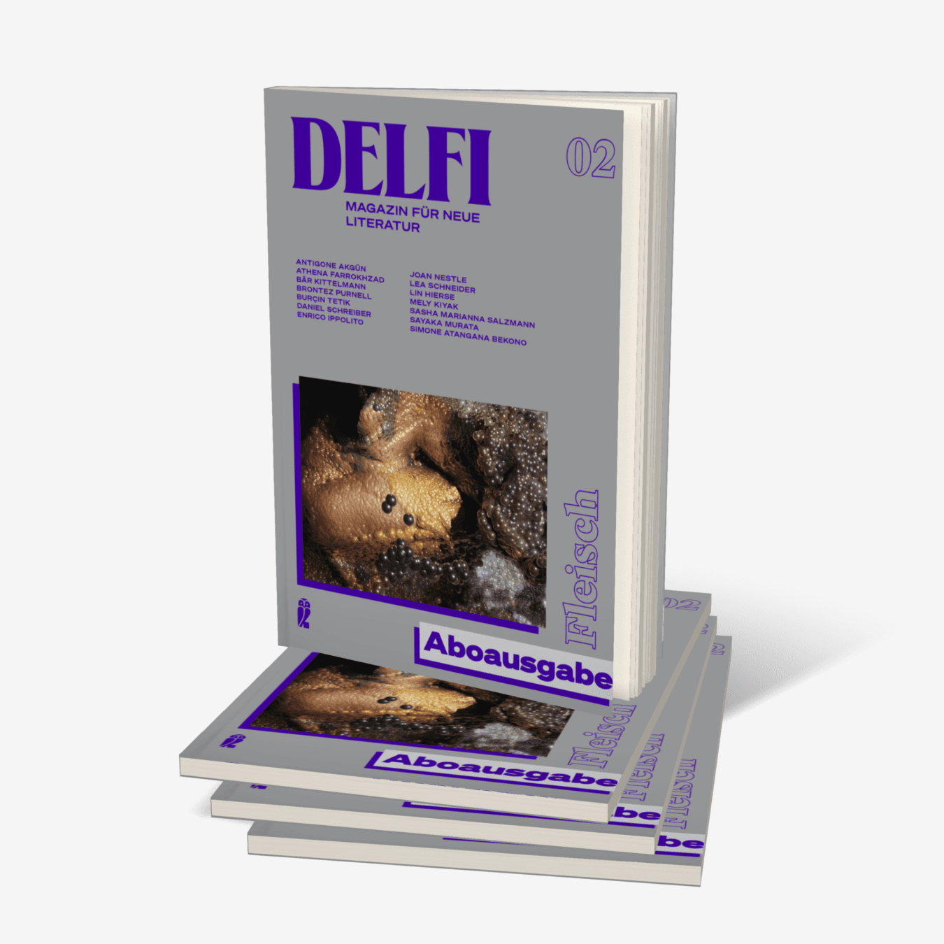 Buchcover von Delfi Fleisch - Aboausgabe (Delfi 2)