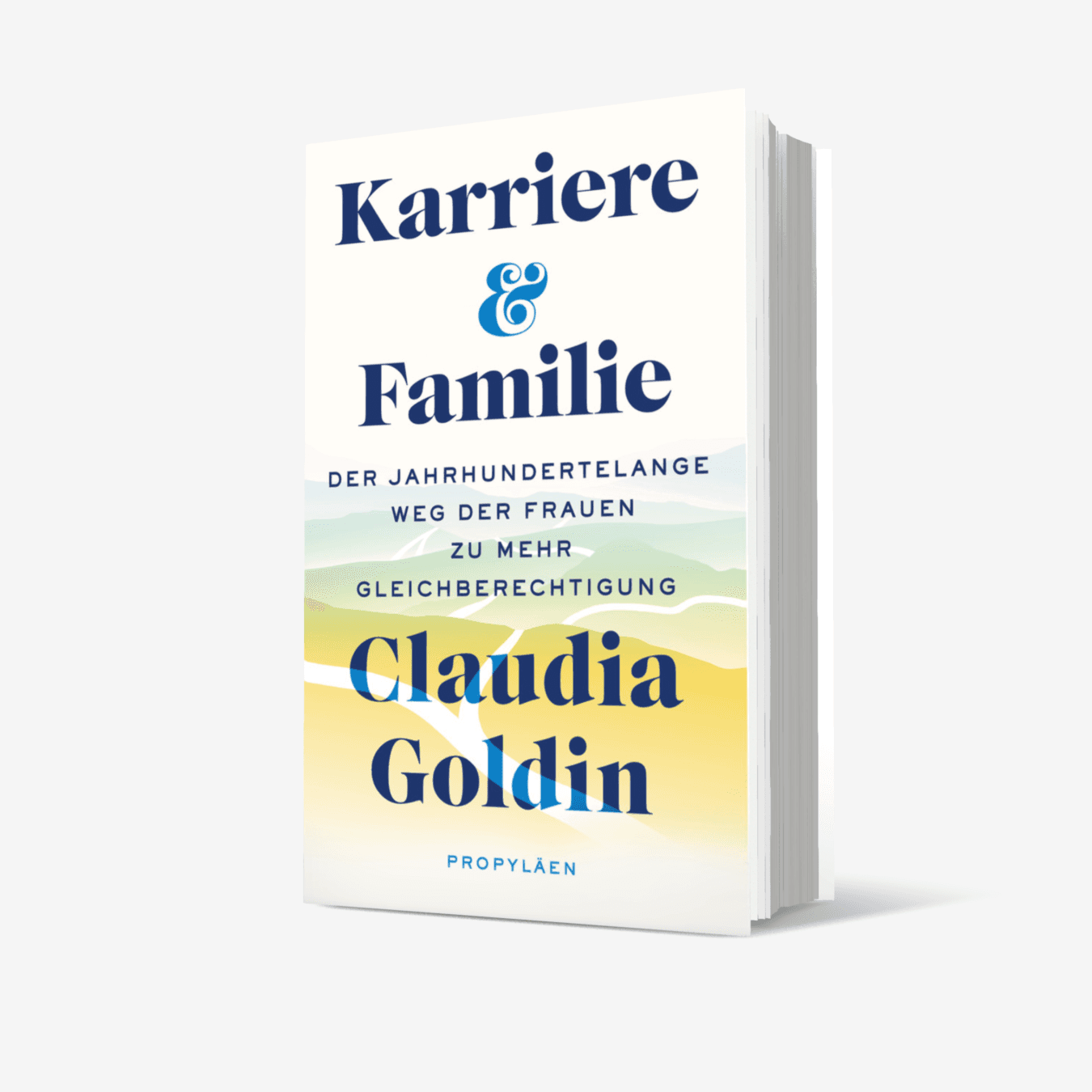 Buchcover von Karriere und Familie