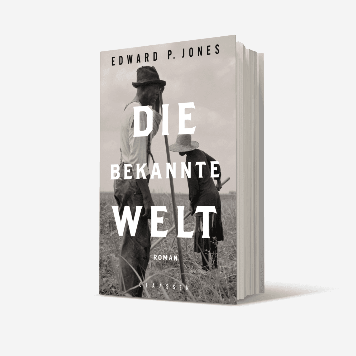 Buchcover von Die bekannte Welt