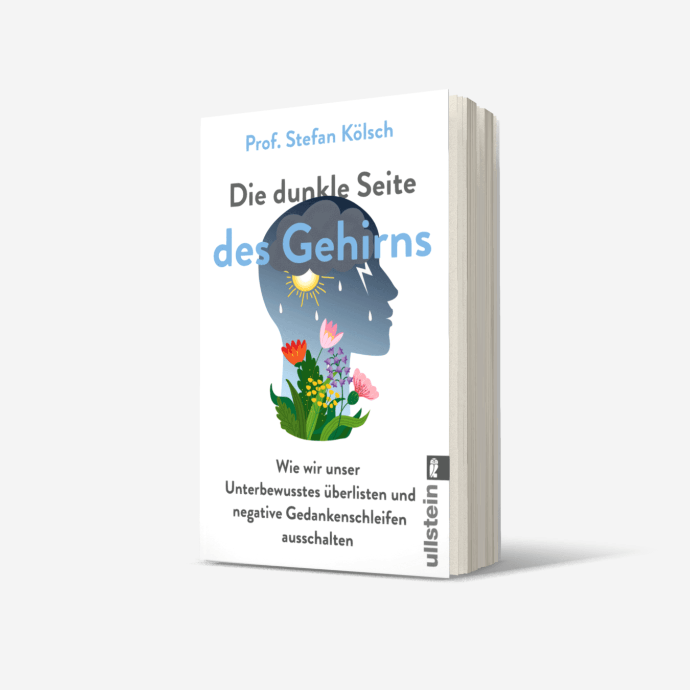 Buchcover von Die dunkle Seite des Gehirns