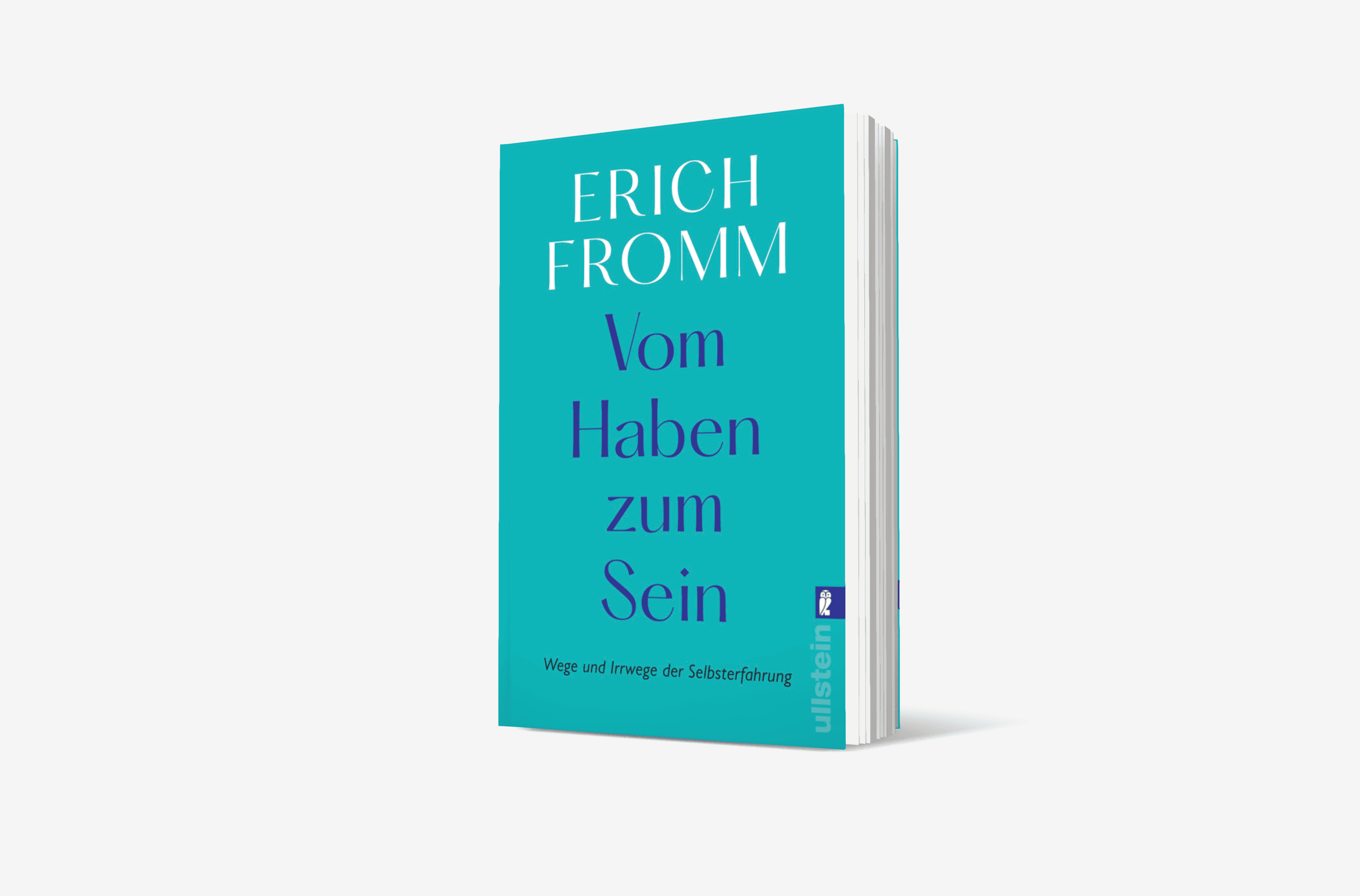 Buchcover von Vom Haben zum Sein