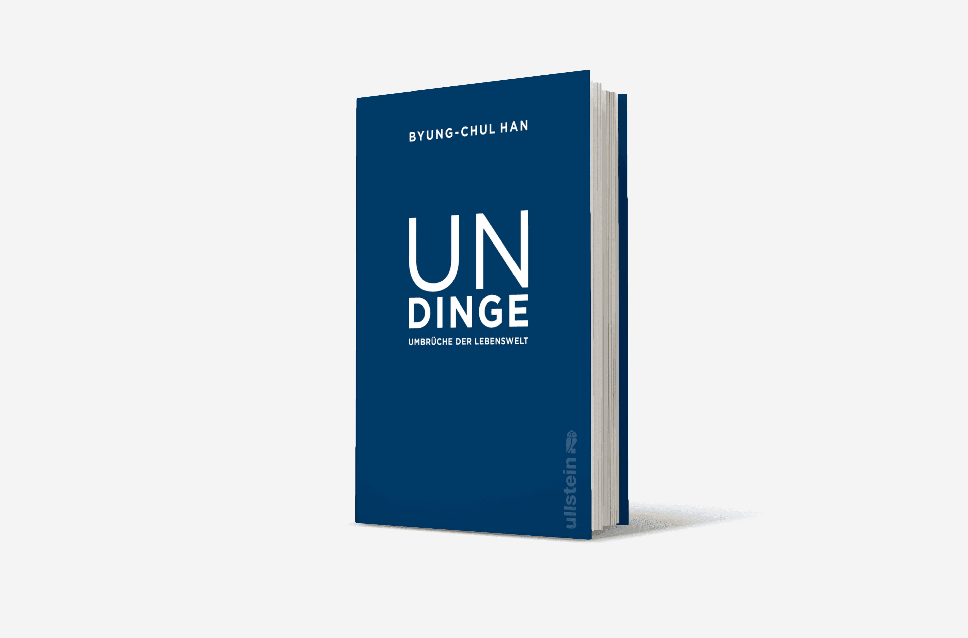 Buchcover von Undinge