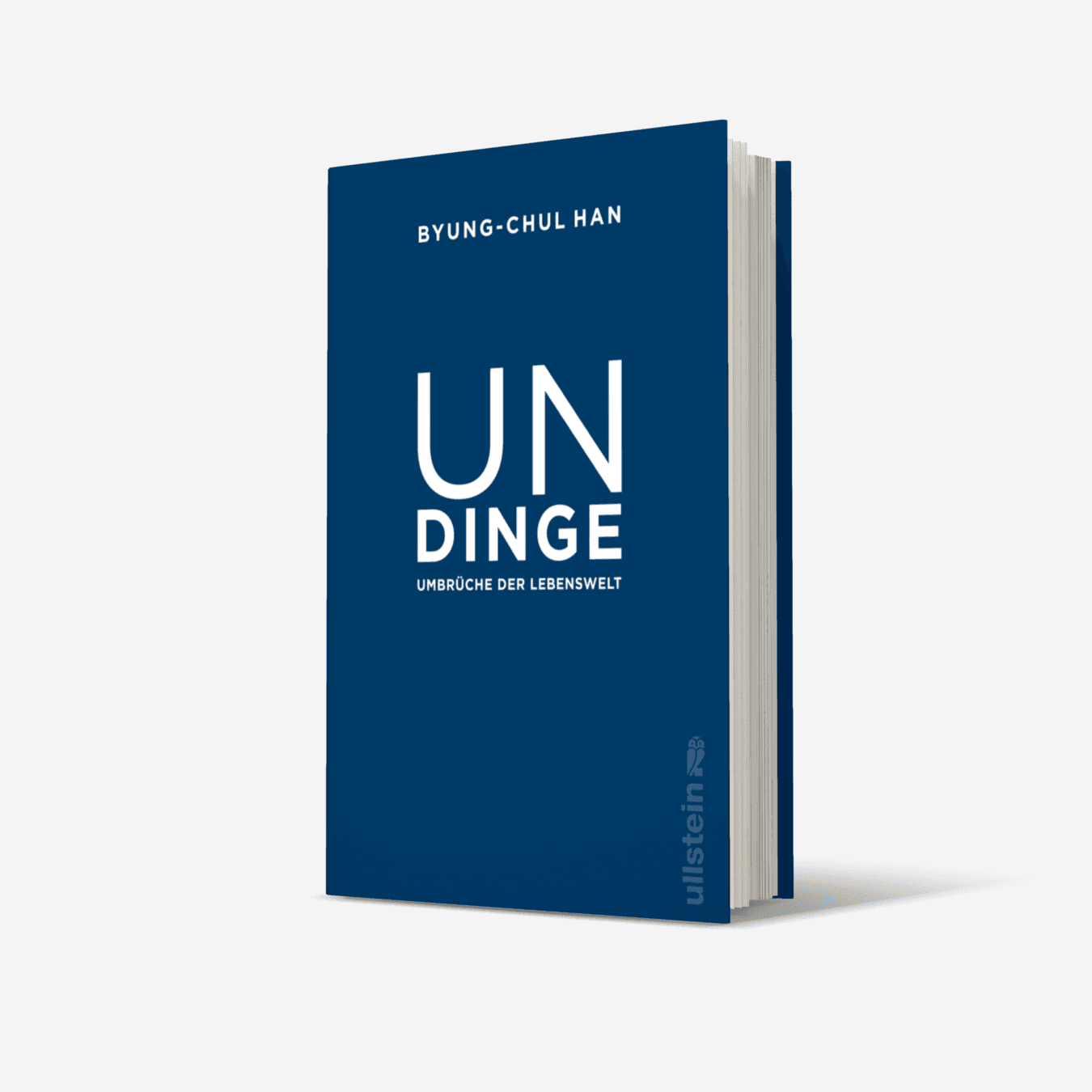 Buchcover von Undinge