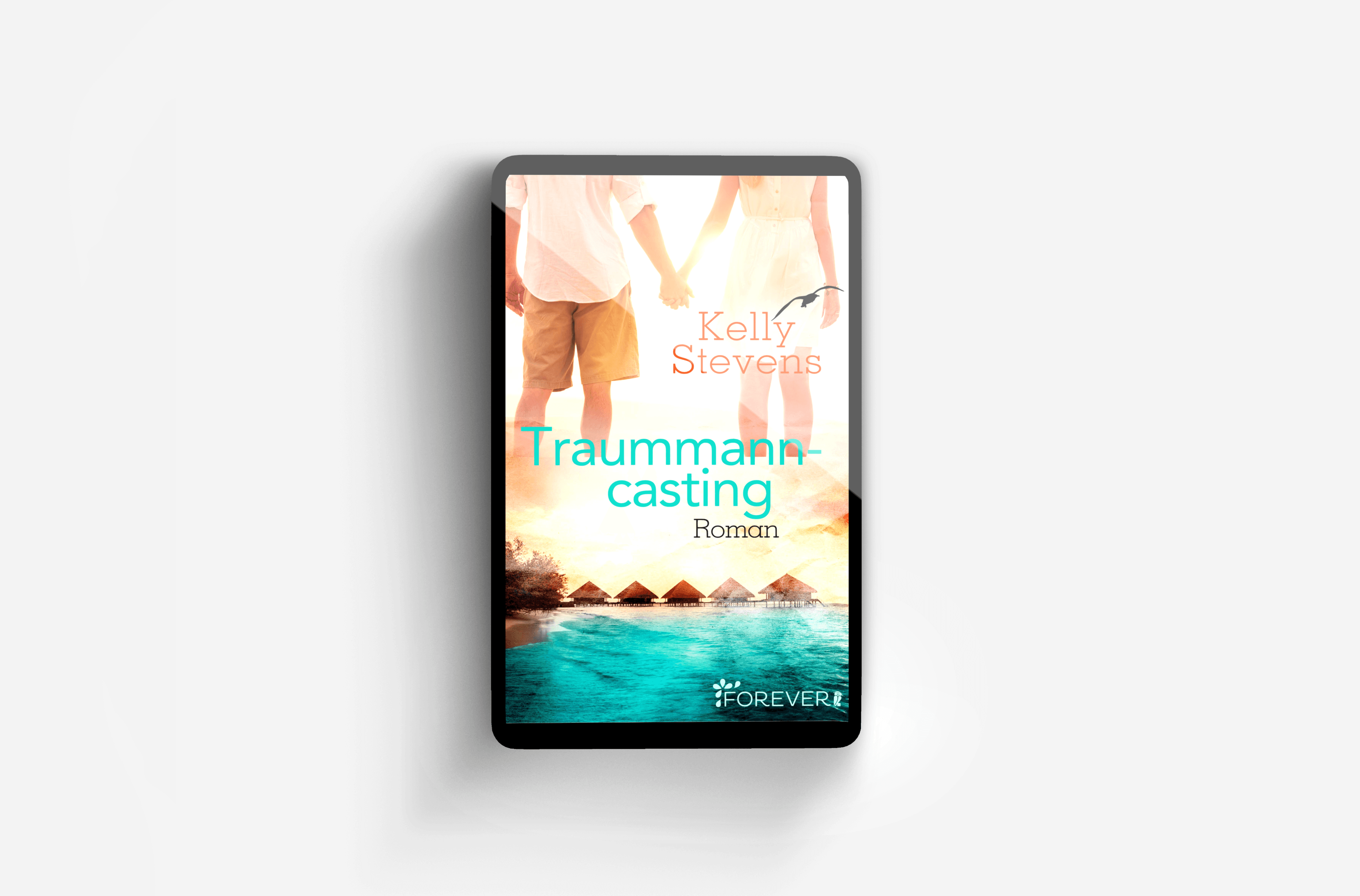 Buchcover von Traummanncasting