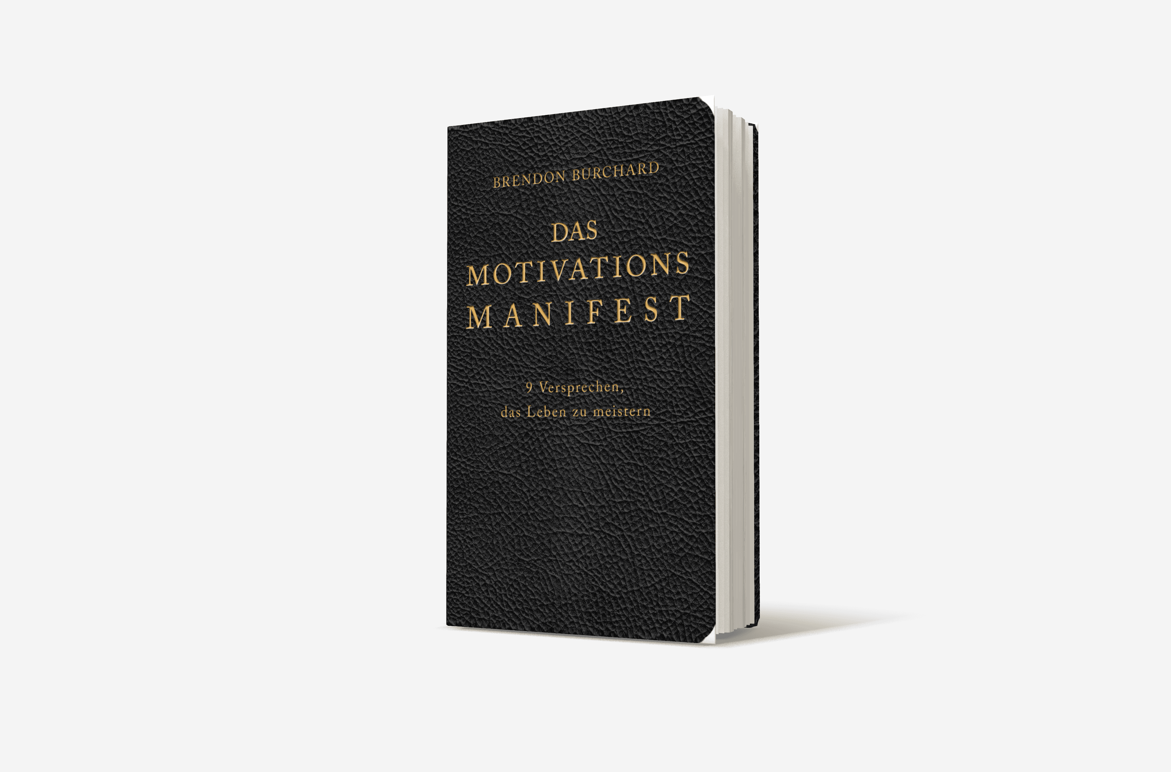 Buchcover von Das MotivationsManifest