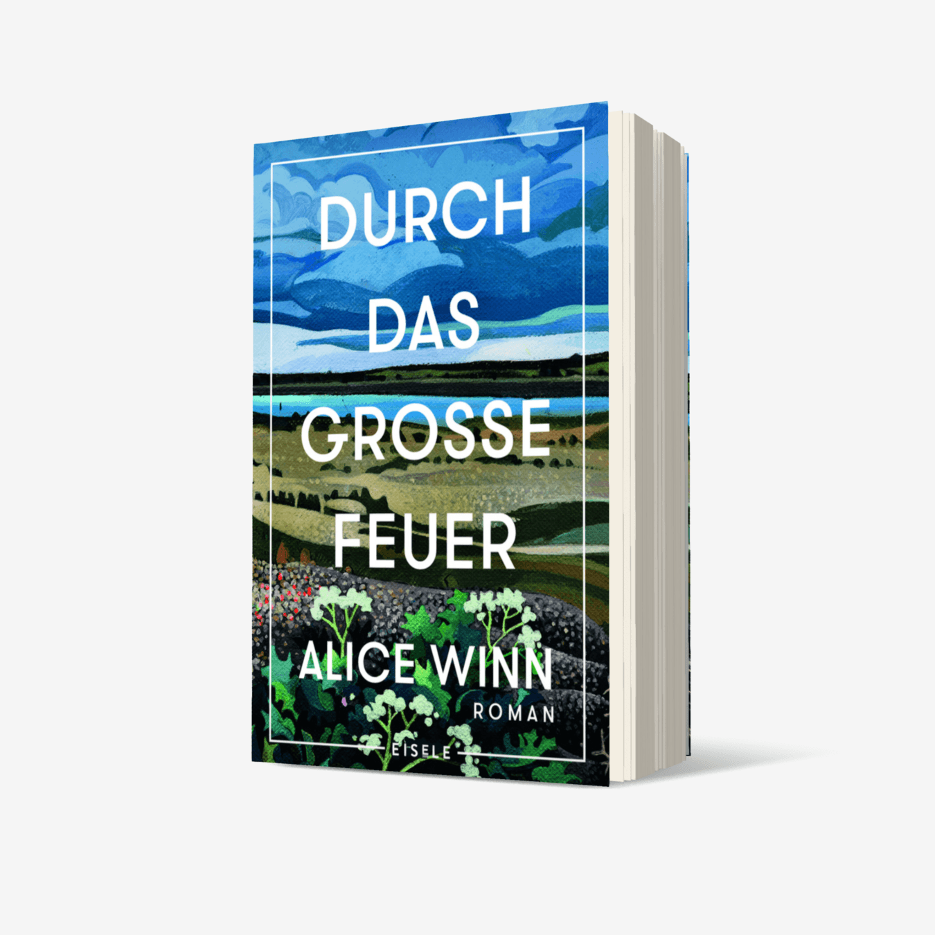 Buchcover von Durch das große Feuer