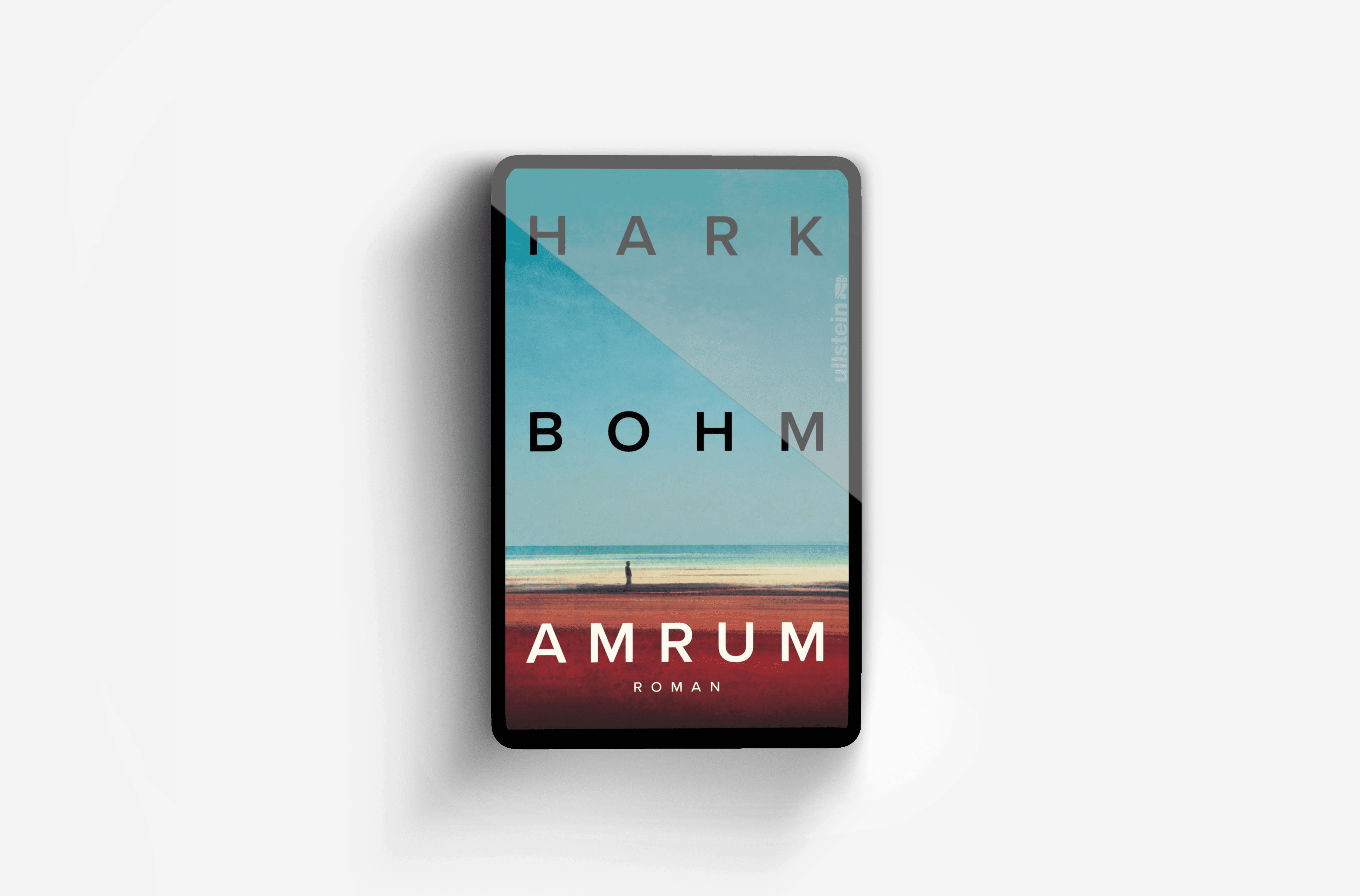 Buchcover von Amrum