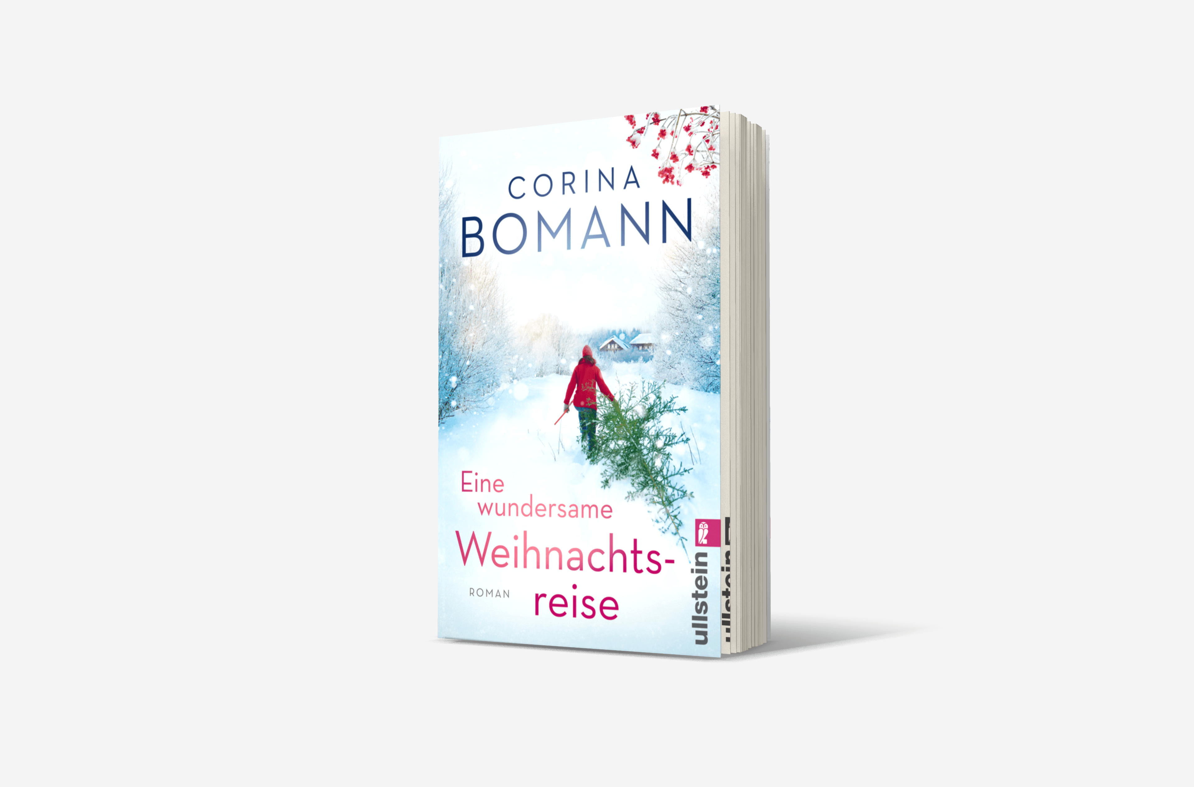 Buchcover von Eine wundersame Weihnachtsreise