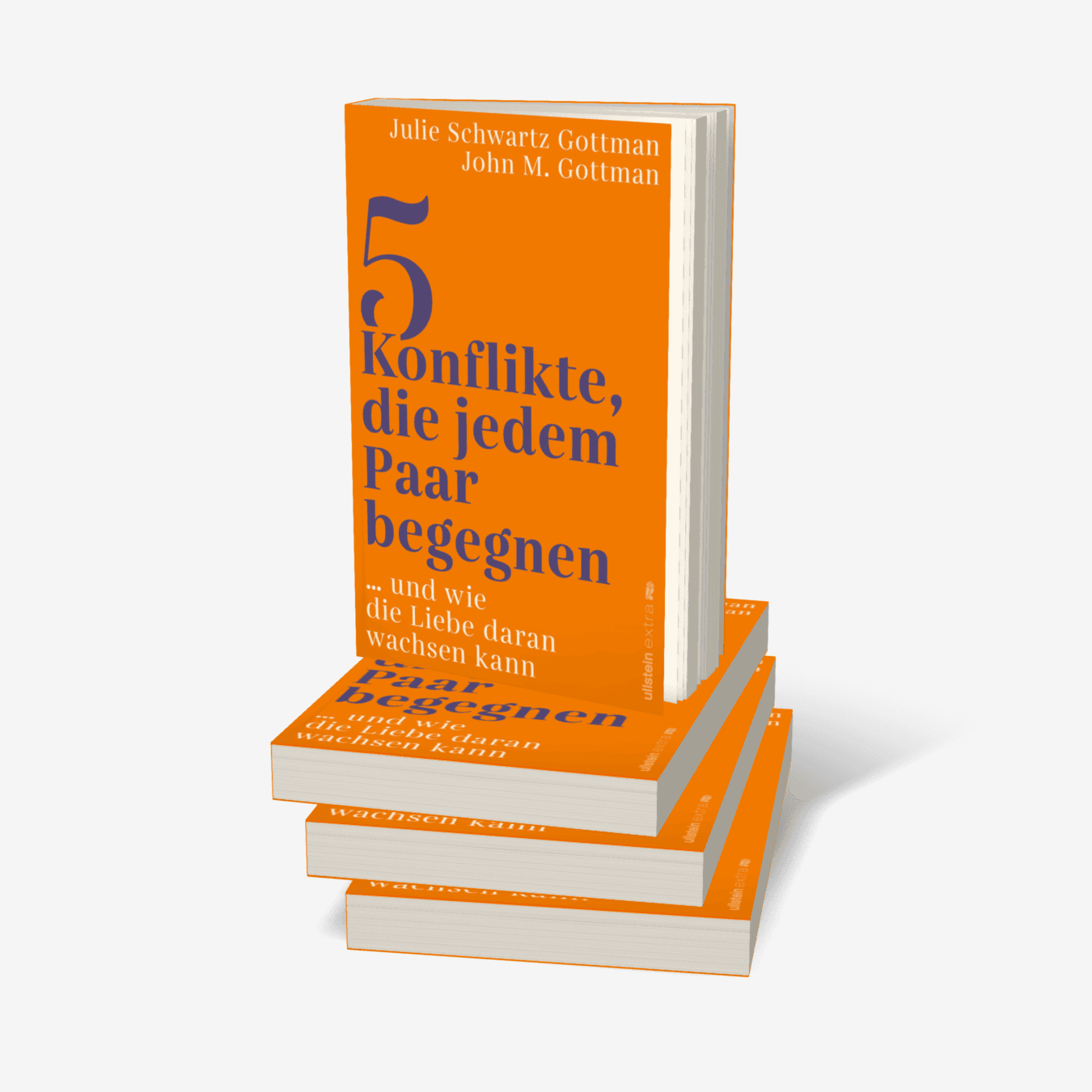 Buchcover von 5 Konflikte, die jedem Paar begegnen