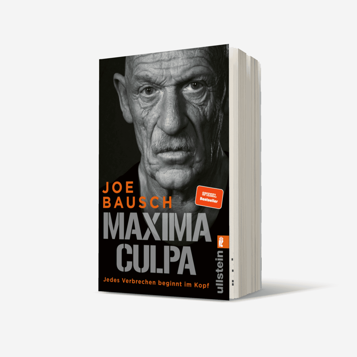 Buchcover von Maxima Culpa