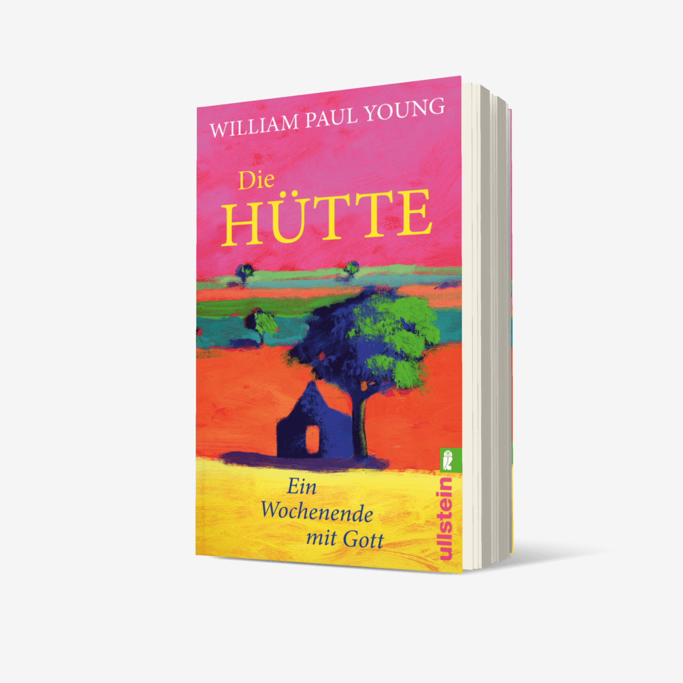 Buchcover von Die Hütte