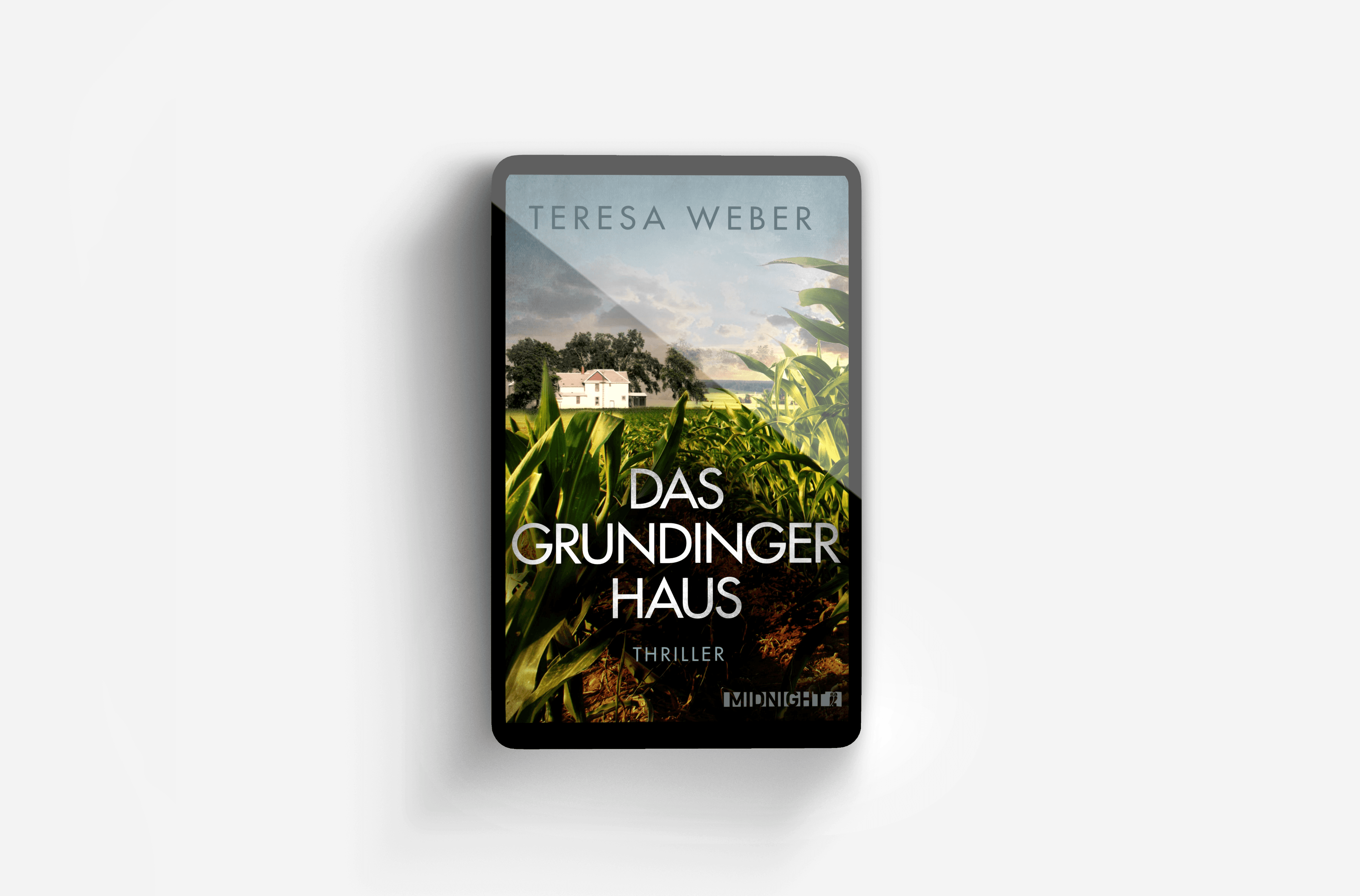 Buchcover von Das Grundinger-Haus