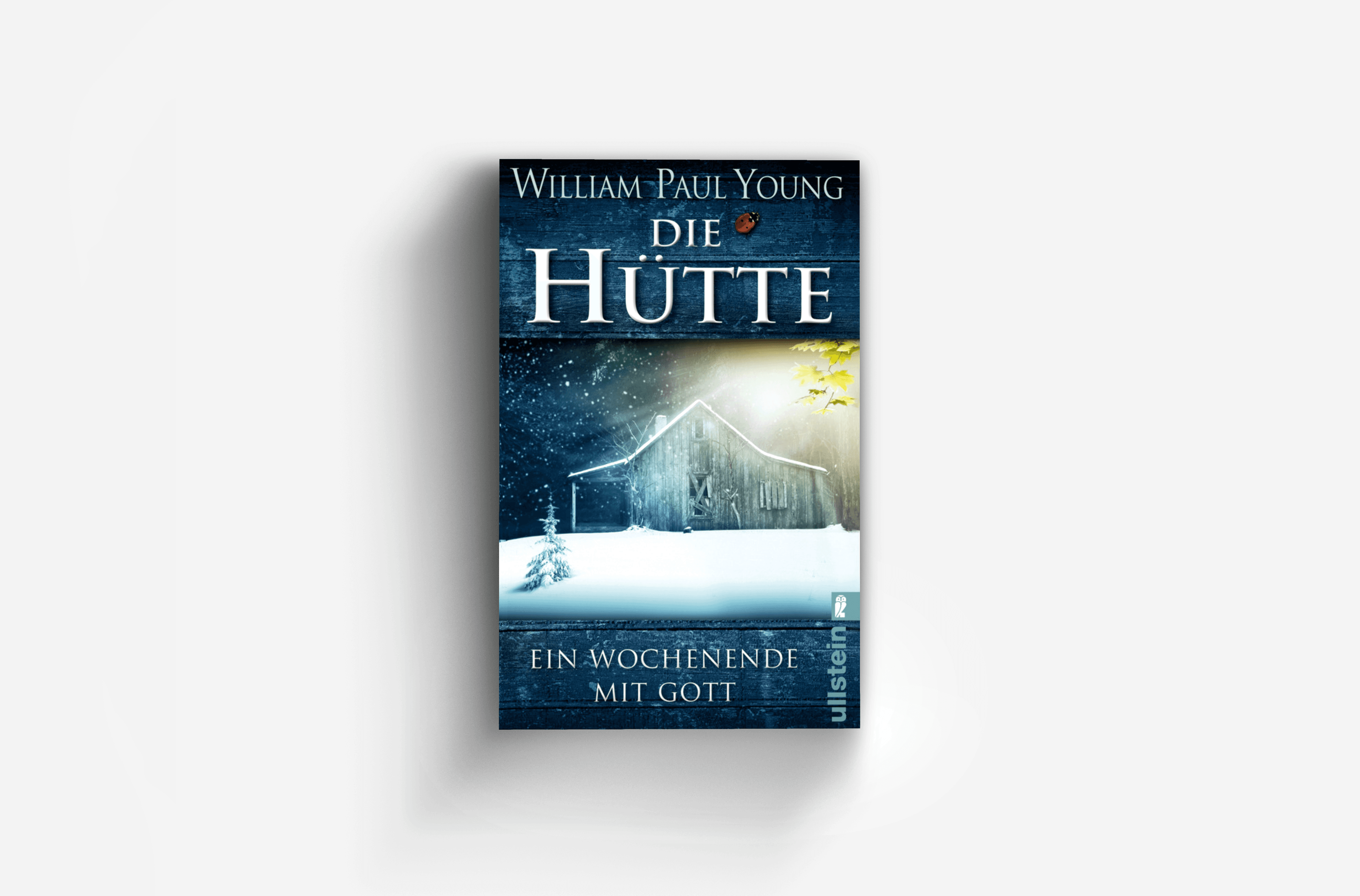 Buchcover von Die Hütte