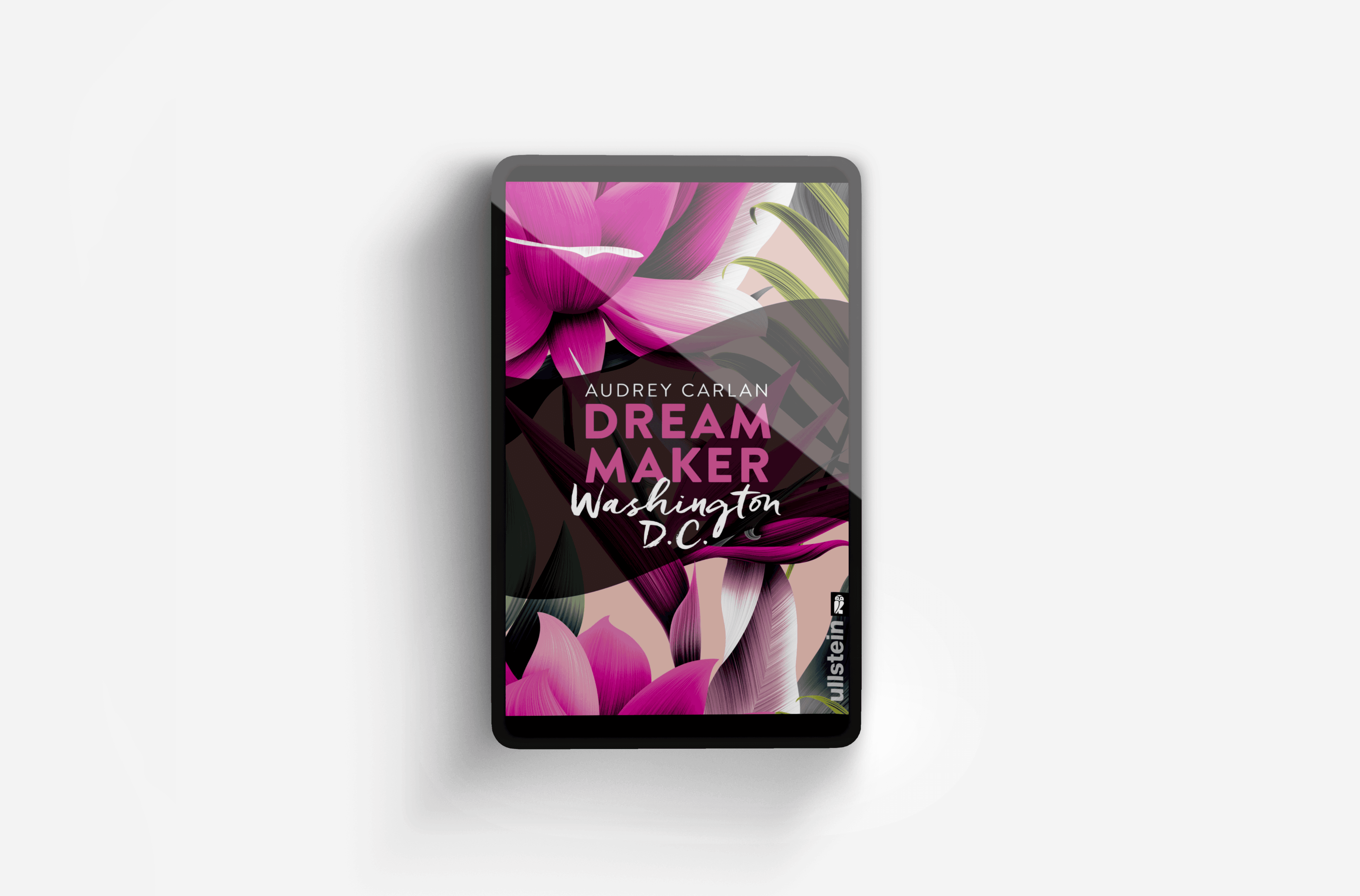 Buchcover von Dream Maker - Washington D.C. (Dream Maker City 8)