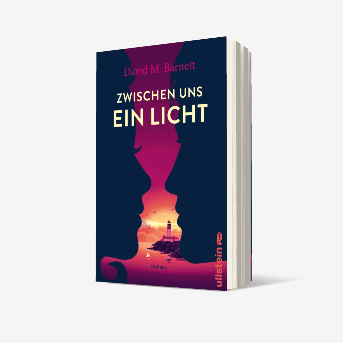 Buchcover von Zwischen uns ein Licht