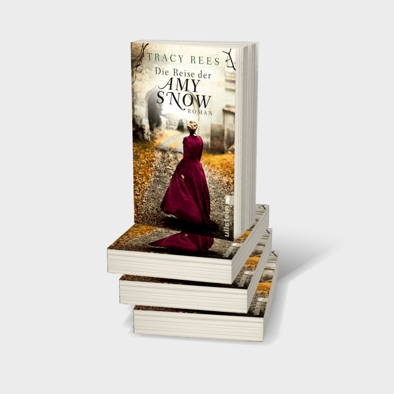 Buchcover von Die Reise der Amy Snow