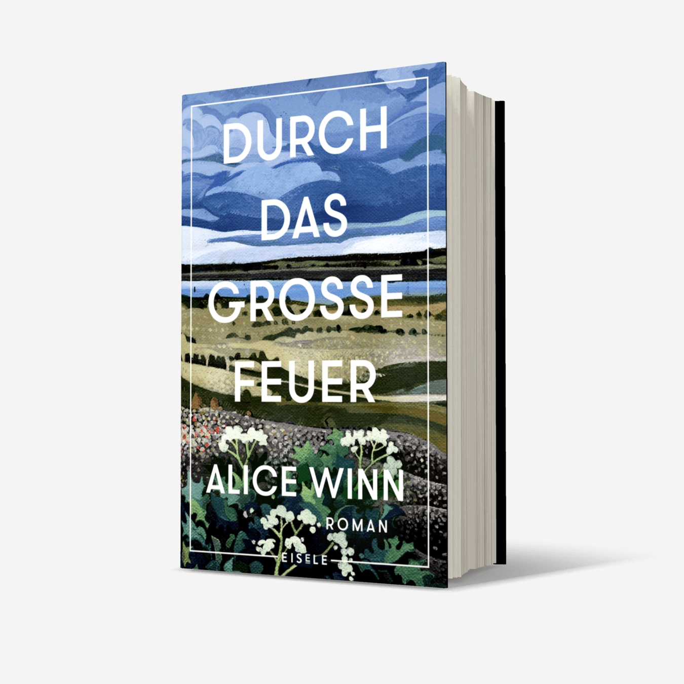 Buchcover von Durch das große Feuer