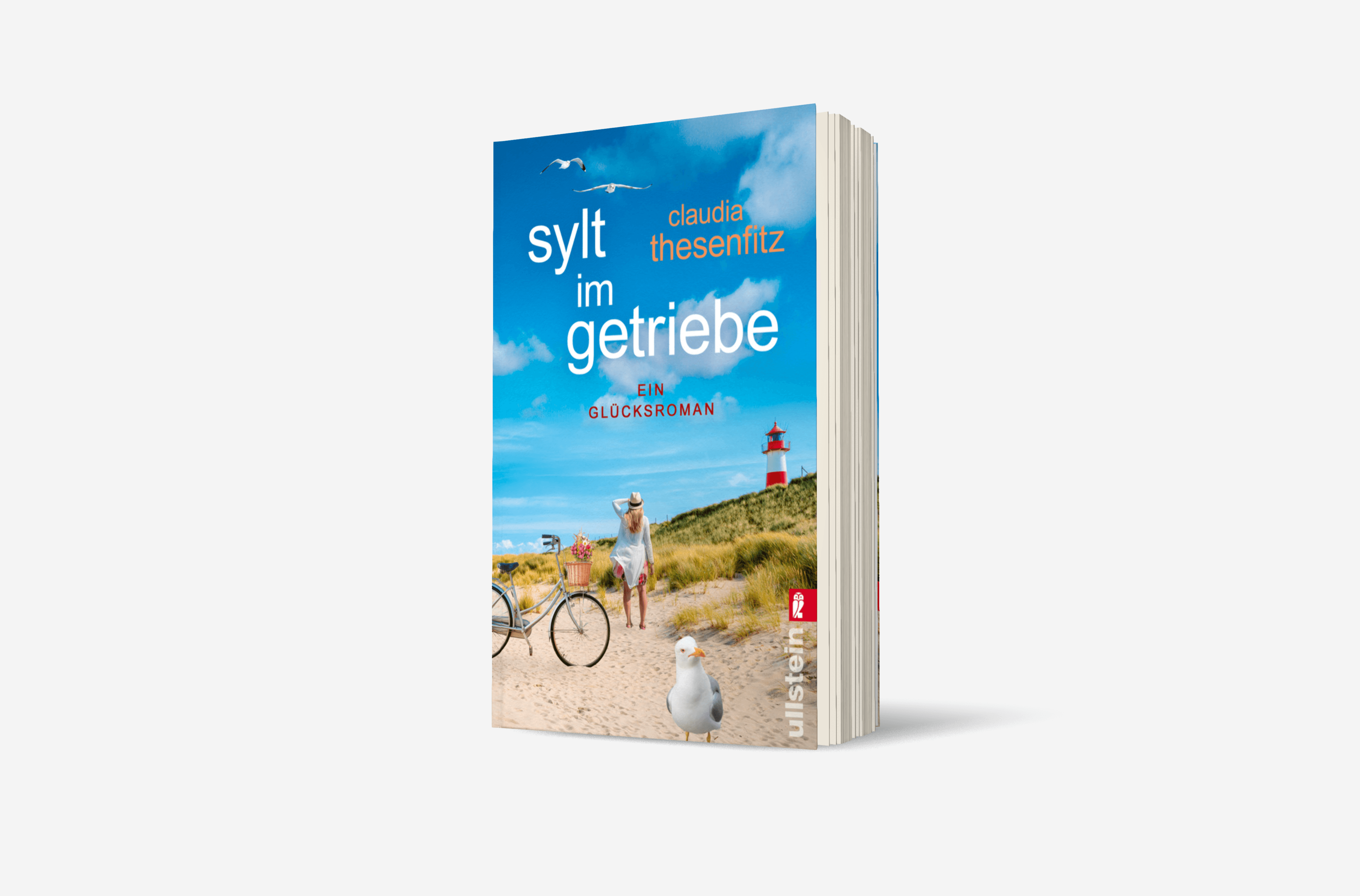 Buchcover von Sylt im Getriebe