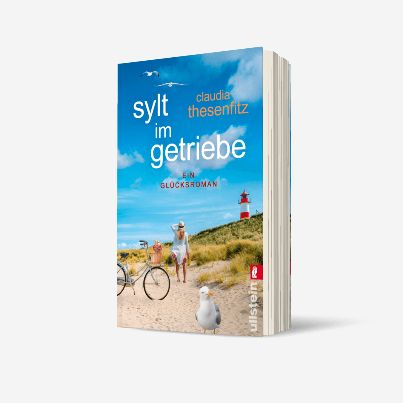 Buchcover von Sylt im Getriebe