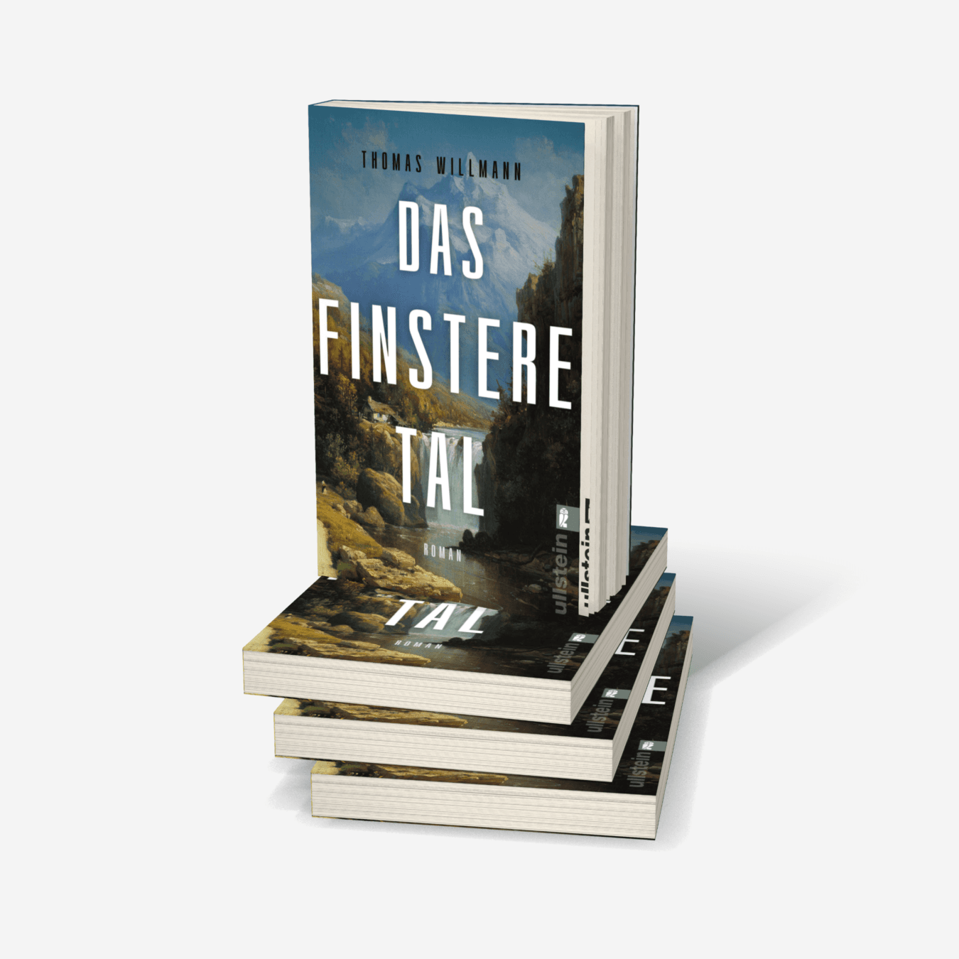 Buchcover von Das finstere Tal