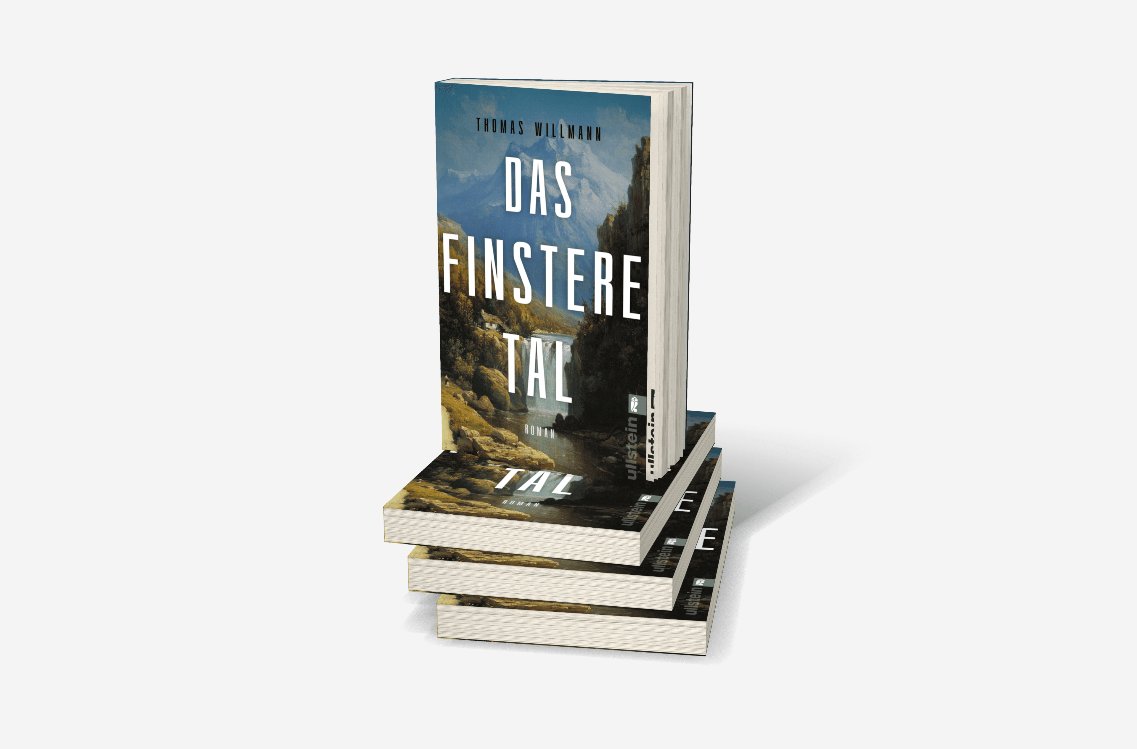 Buchcover von Das finstere Tal