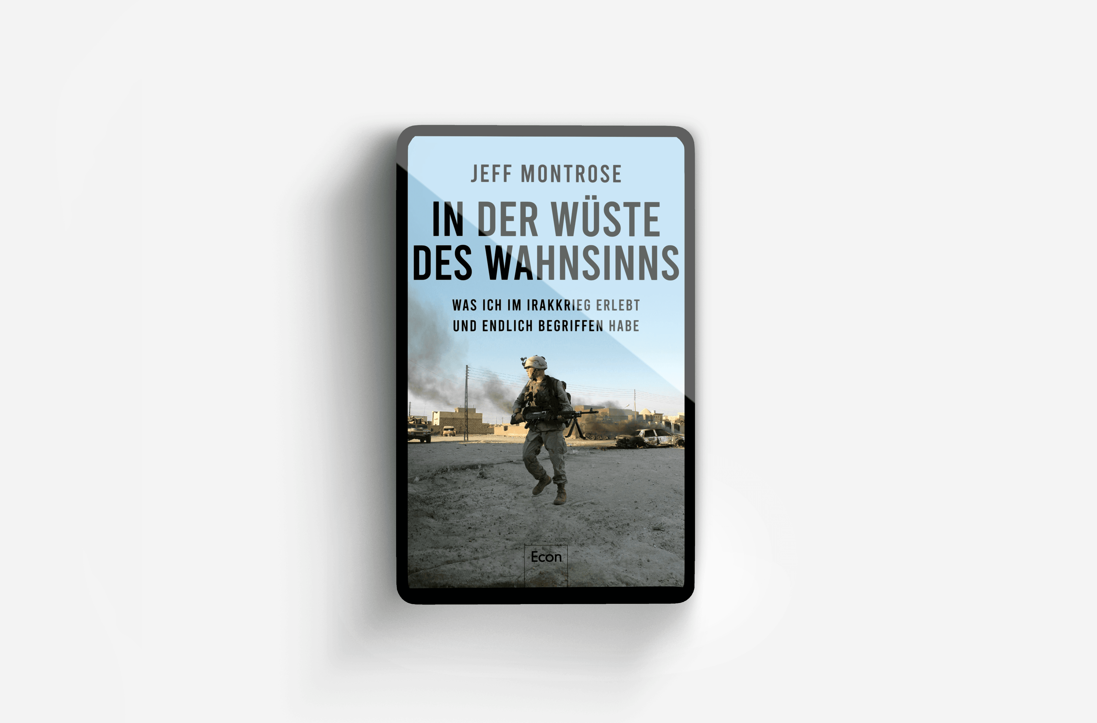 Buchcover von In der Wüste des Wahnsinns