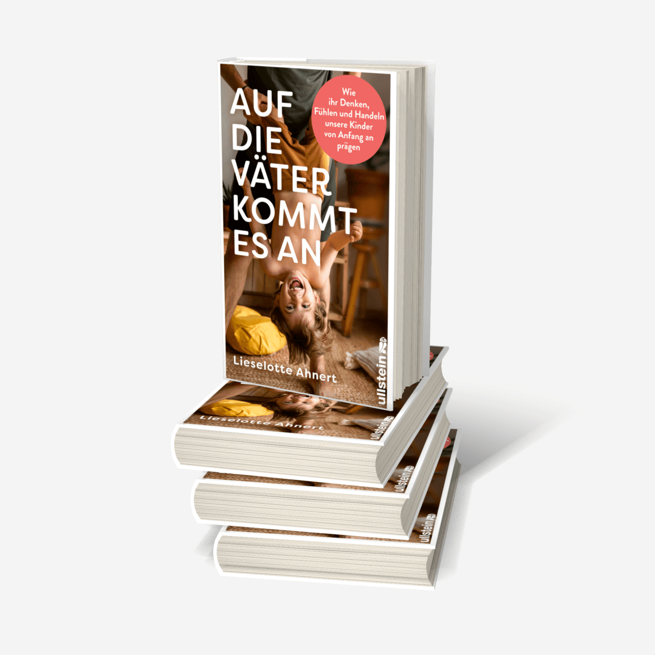 Buchcover von Auf die Väter kommt es an