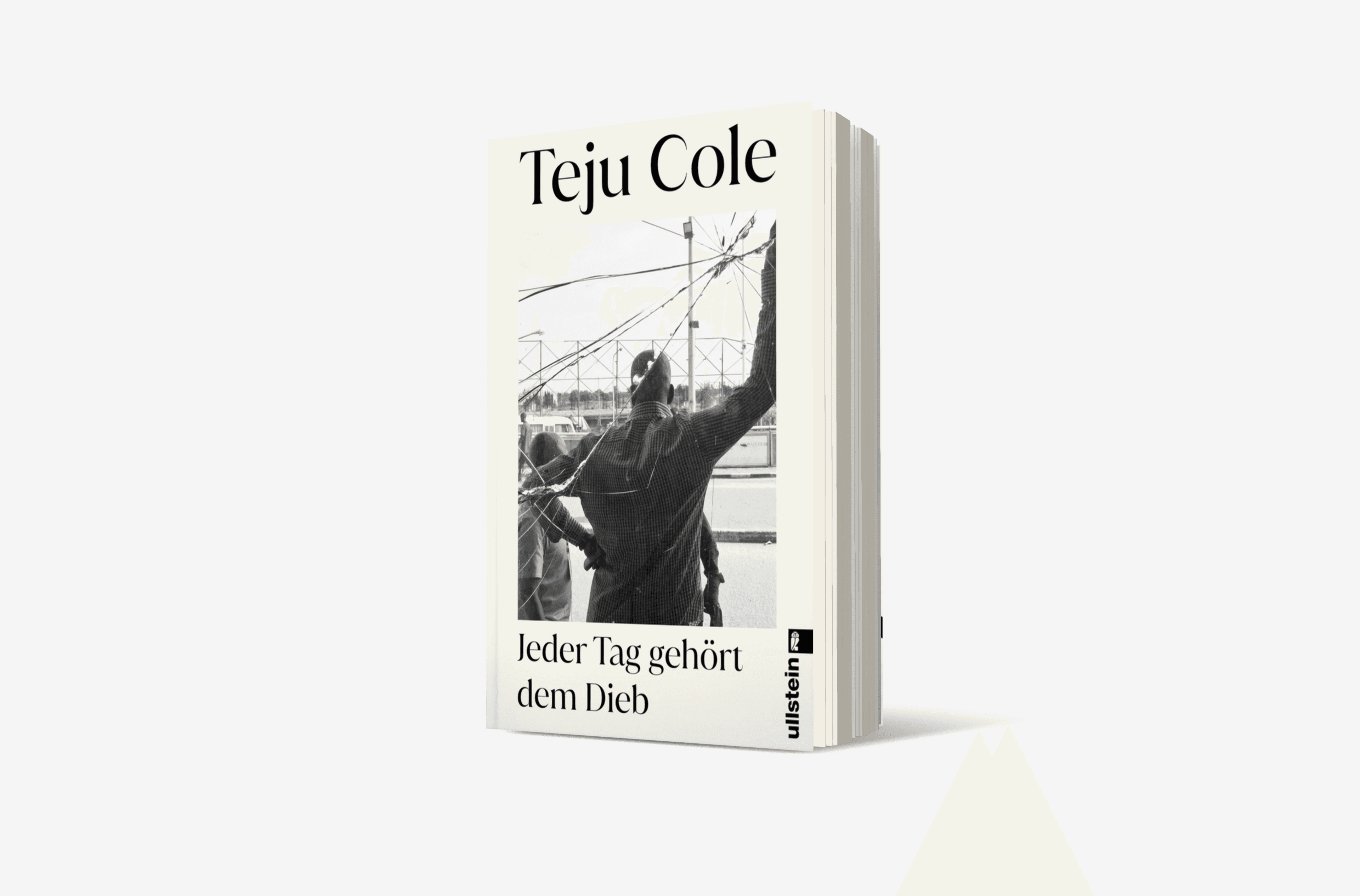 Buchcover von Jeder Tag gehört dem Dieb