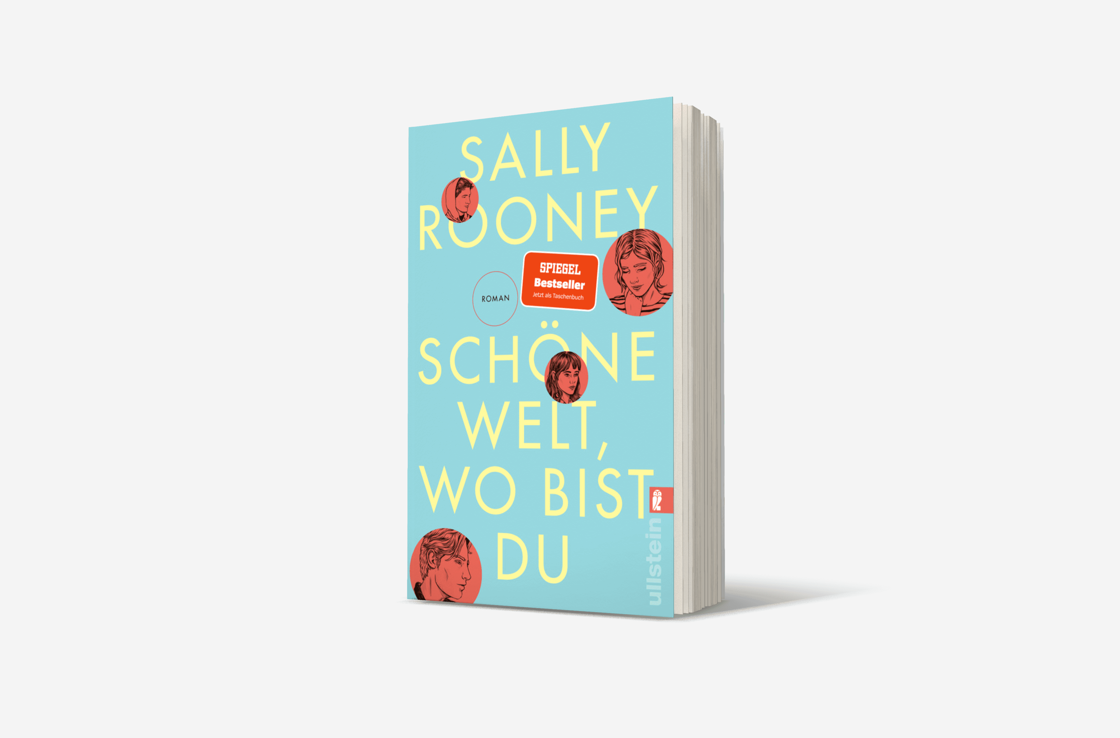 Buchcover von Schöne Welt, wo bist du