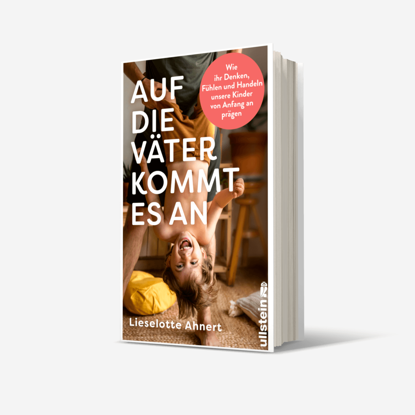 Buchcover von Auf die Väter kommt es an