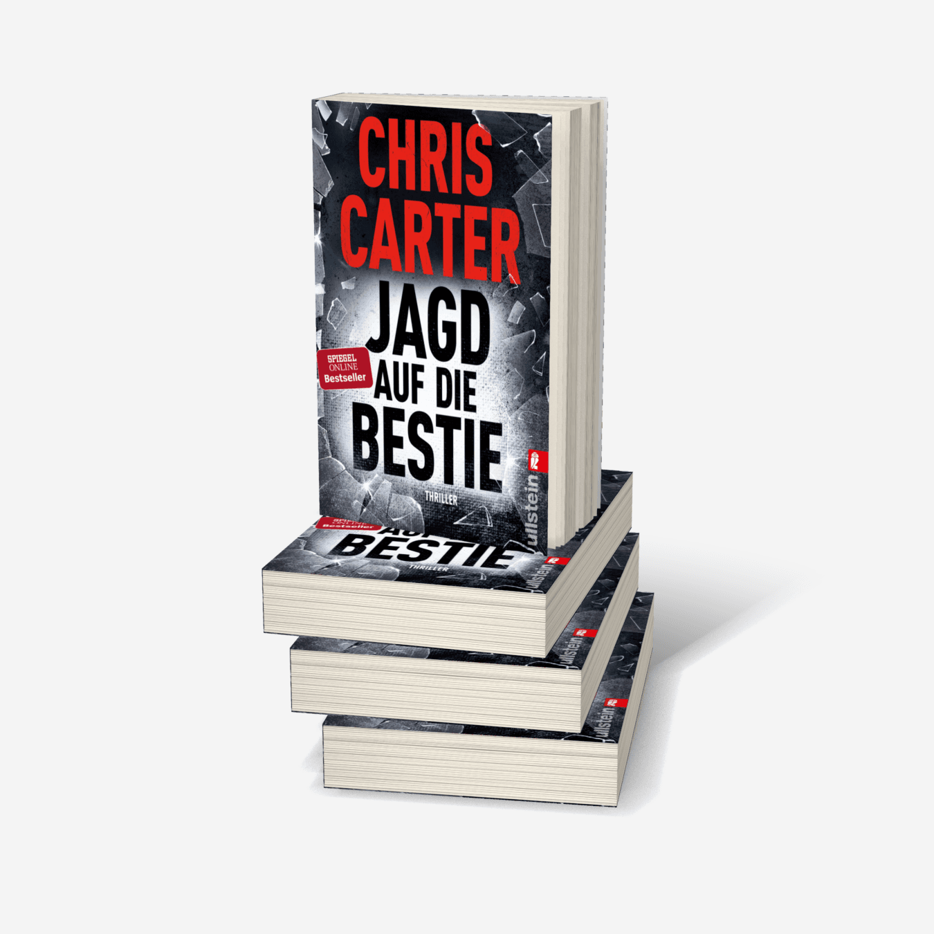 Buchcover von Jagd auf die Bestie (Ein Hunter-und-Garcia-Thriller 10)