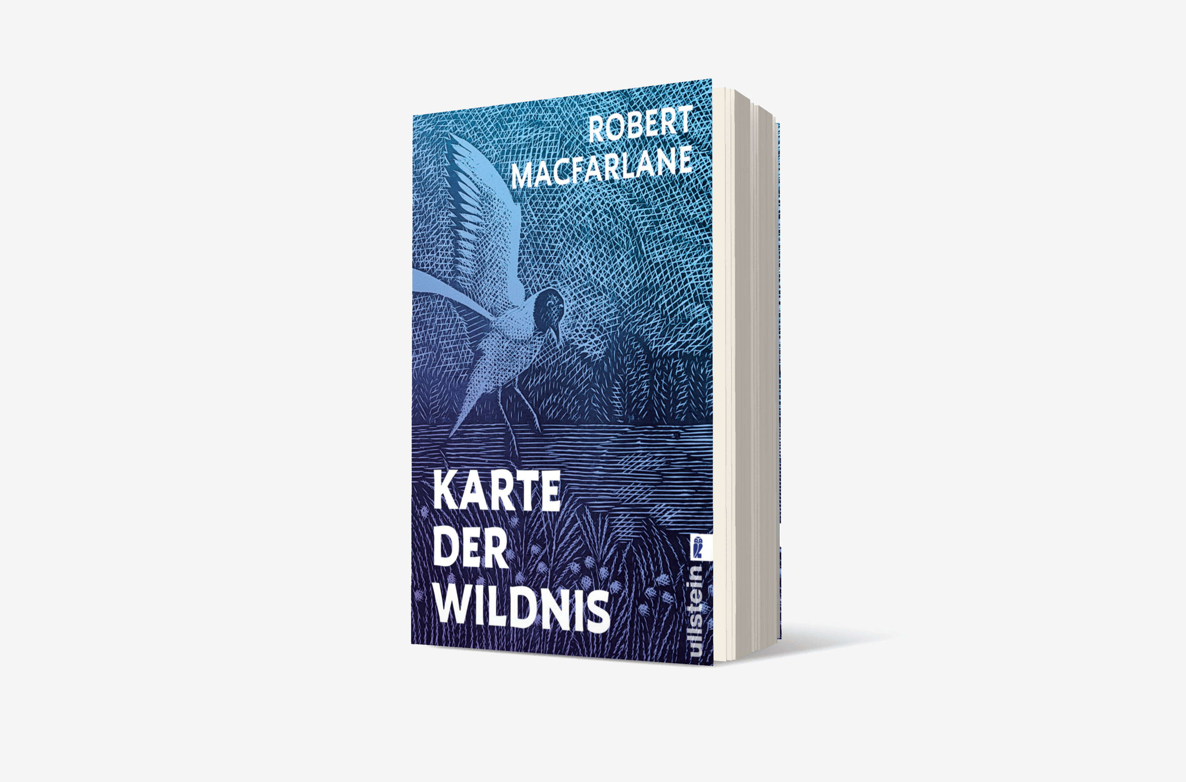 Buchcover von Karte der Wildnis