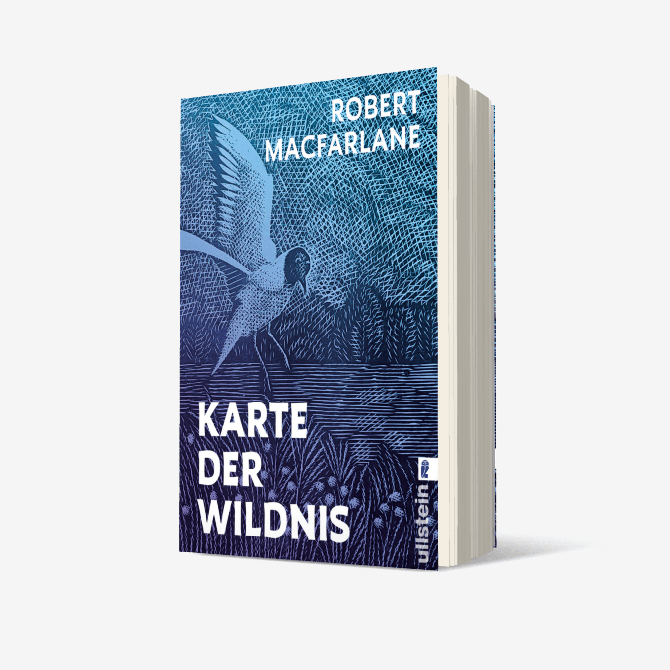 Buchcover von Karte der Wildnis