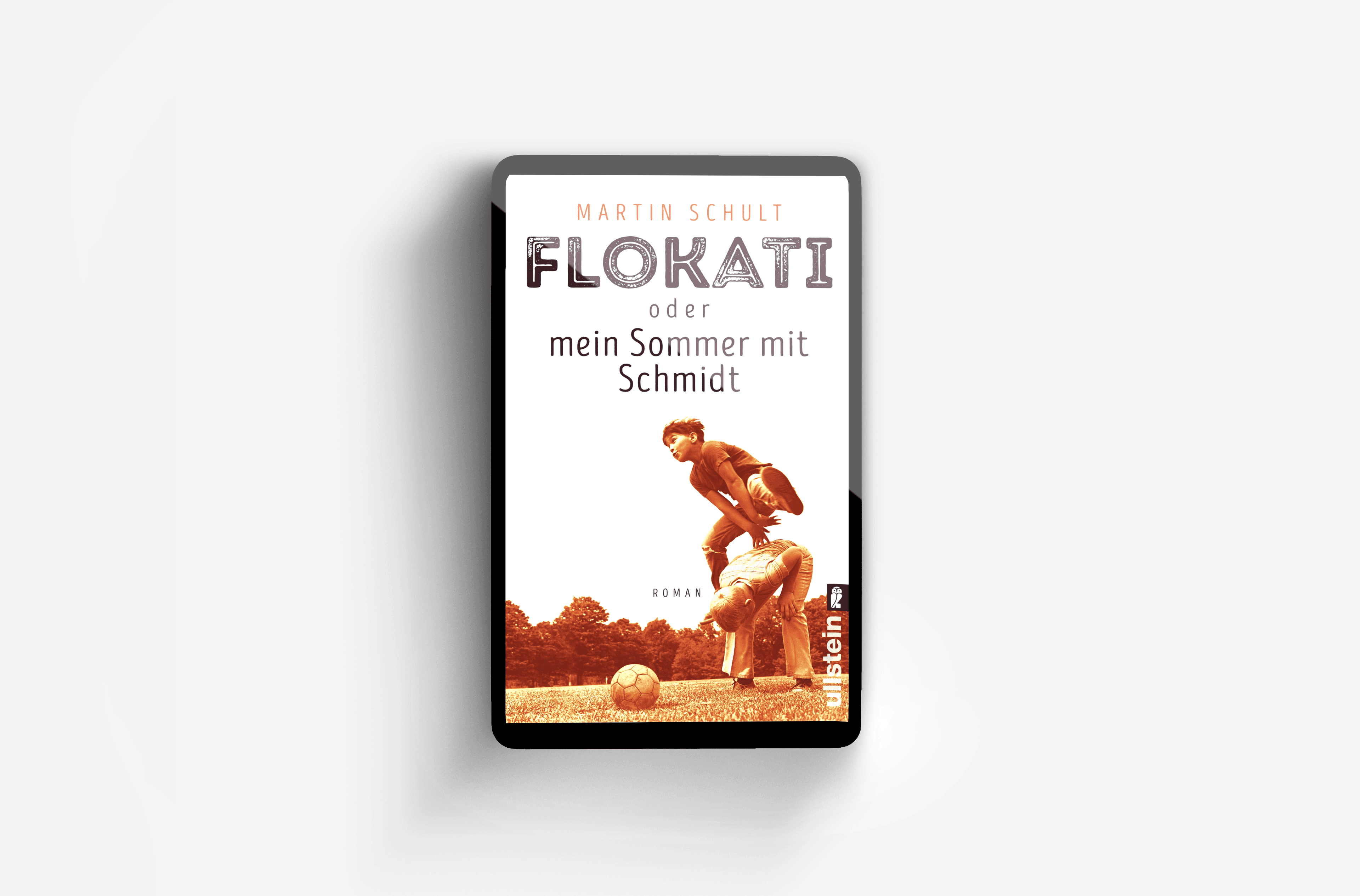 Buchcover von Flokati oder mein Sommer mit Schmidt