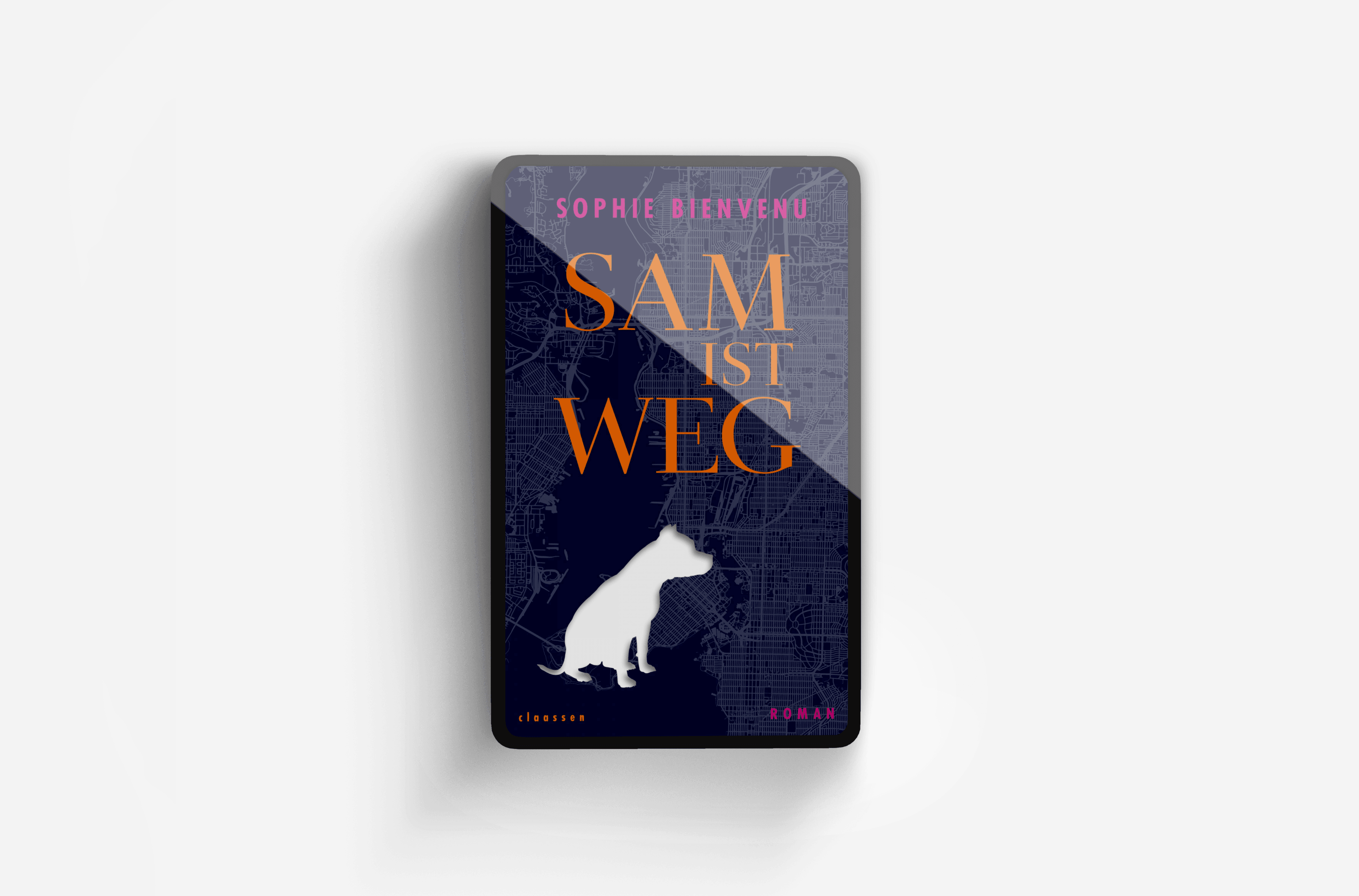 Buchcover von Sam ist weg