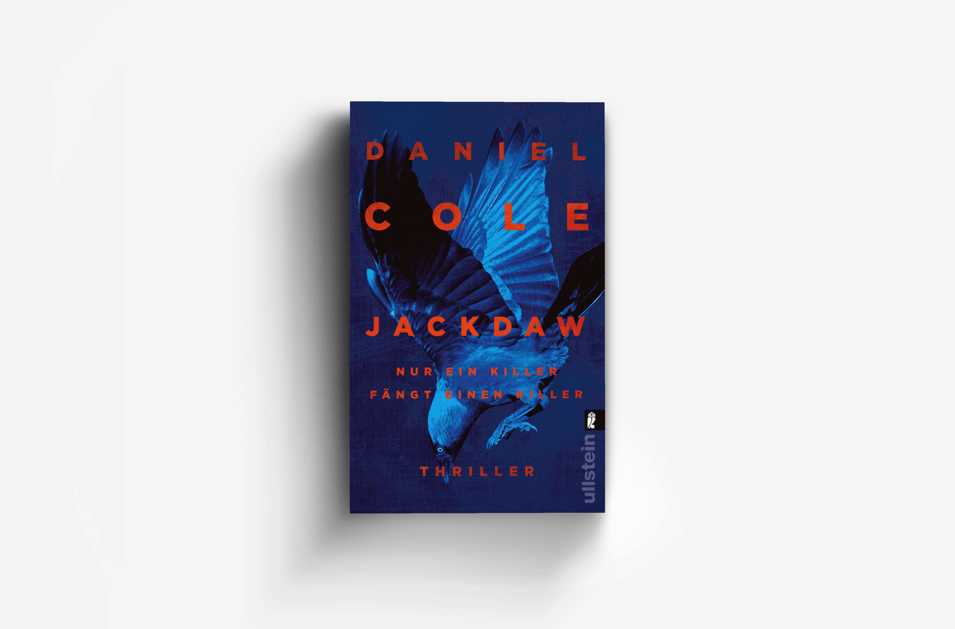 Buchcover von Jackdaw